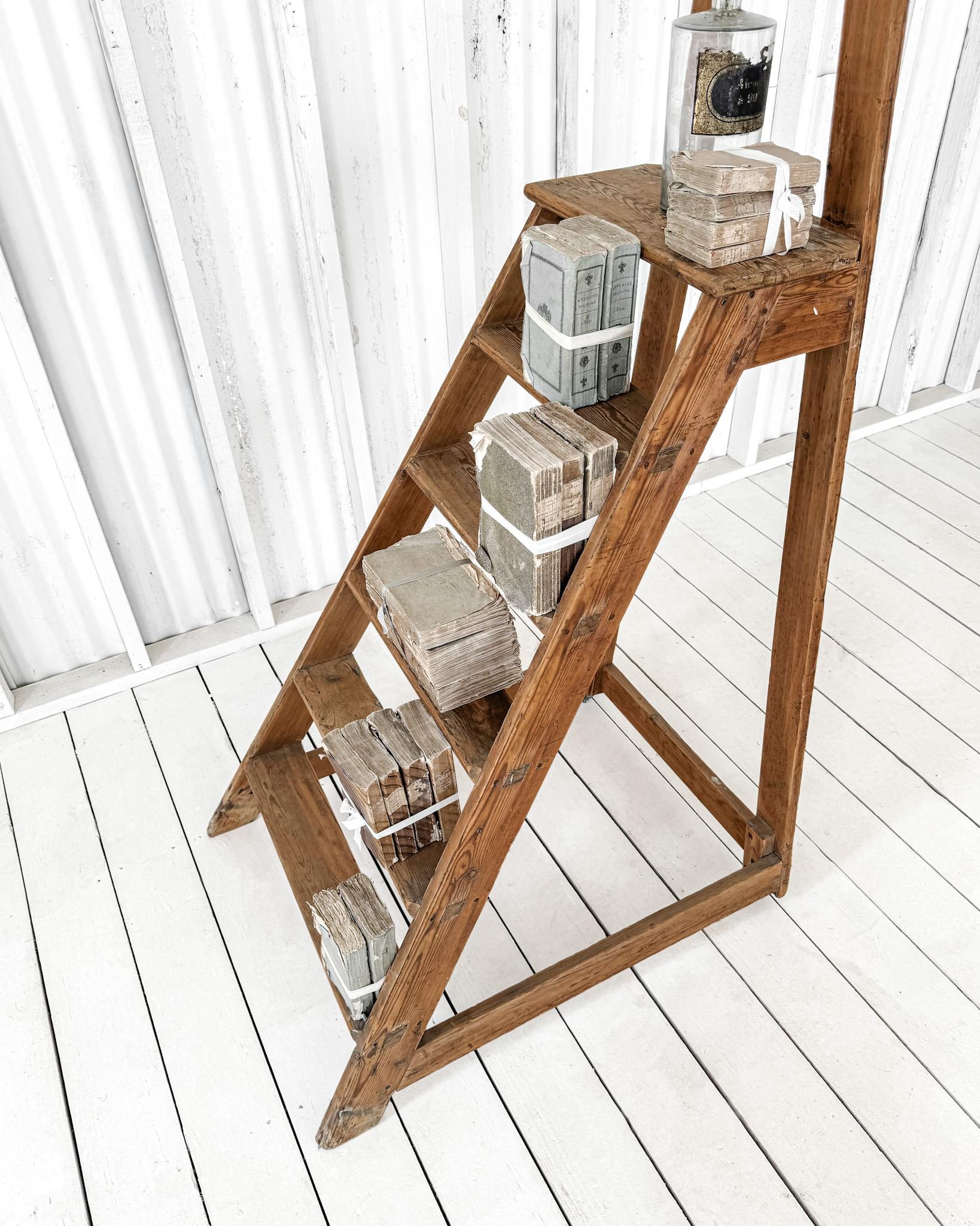 Fruitwood Vintage French Library Ladder