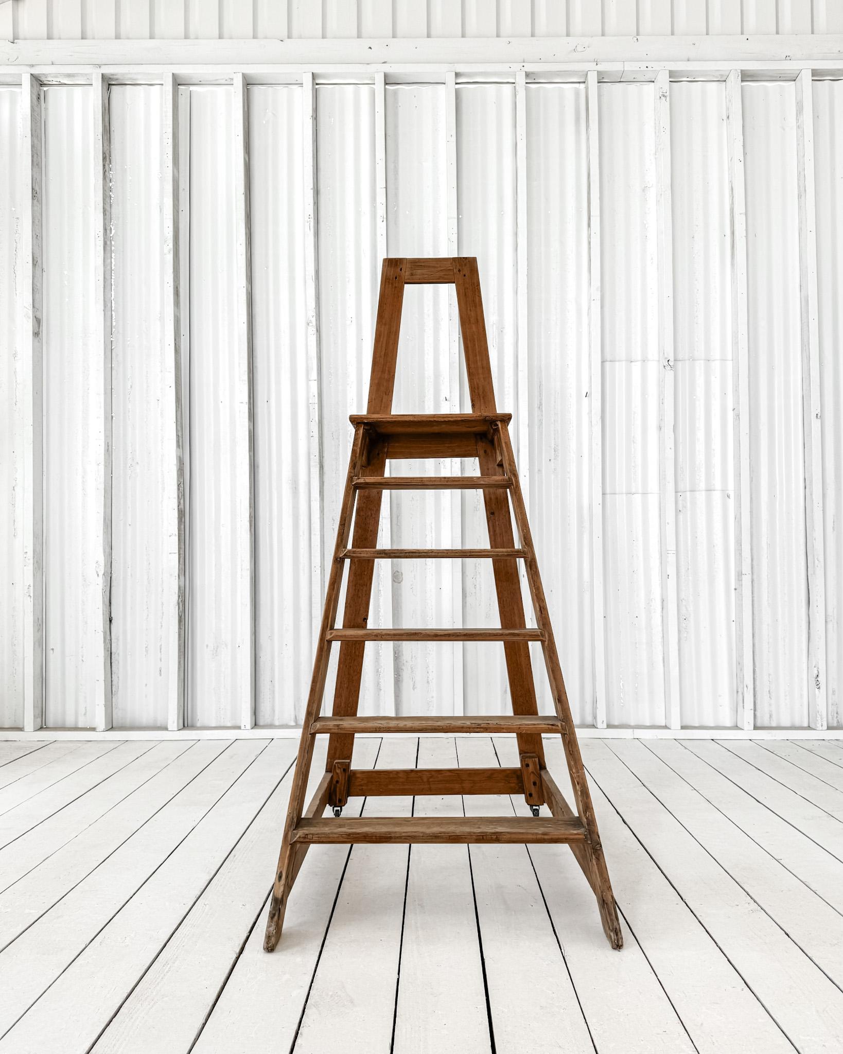 Vintage French Library Ladder 3