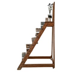 Vintage French Library Ladder