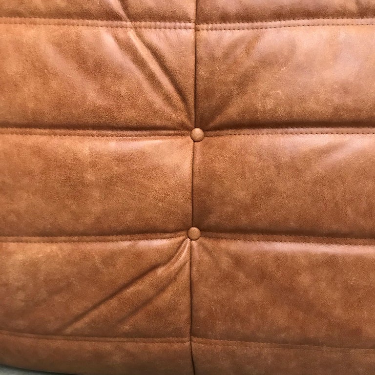 Mid-Century Modern Vintage French Loveseat in Cognac Leather by Michel Ducaroy for Ligne Roset