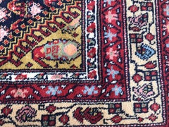 Tapis noué vintage français de style Malayer