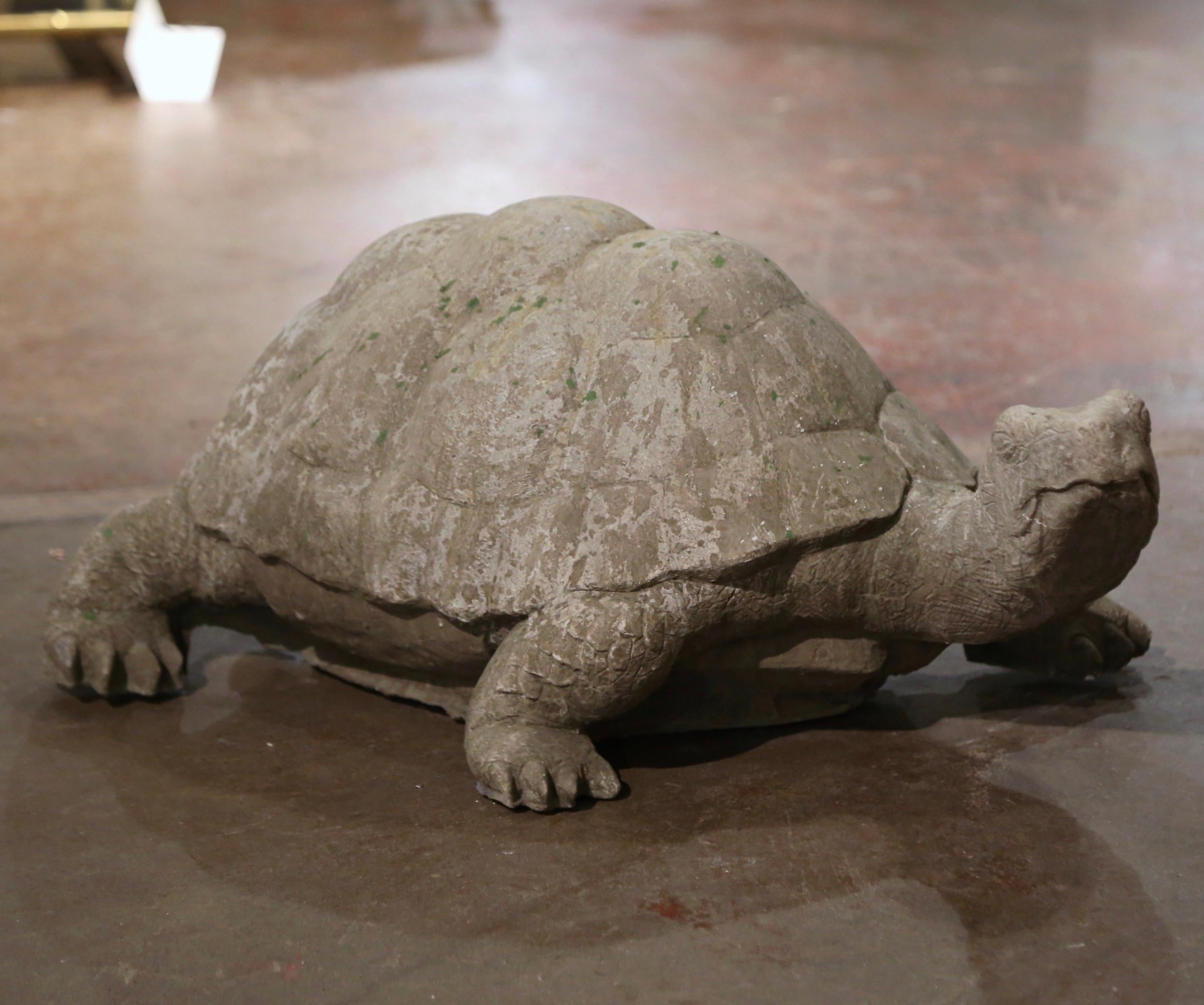 southern stone turtle