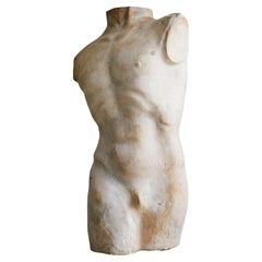 Vintage French Plaster Male Torso Sculpture