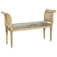 Vintage French Regency Upholstered Cane Bench