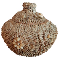 Vintage French Shabby Chic Pot with Lid Encrusted with Shells