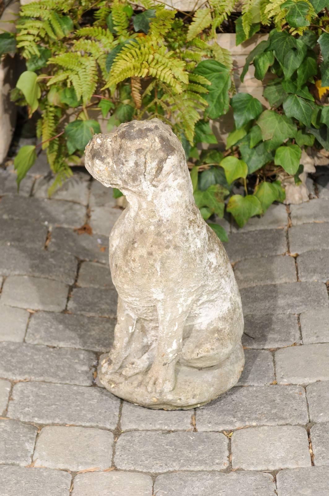 Französische Steinskulptur eines Hundes in sitzender Position aus den 1920er-1940er Jahren im Angebot 3
