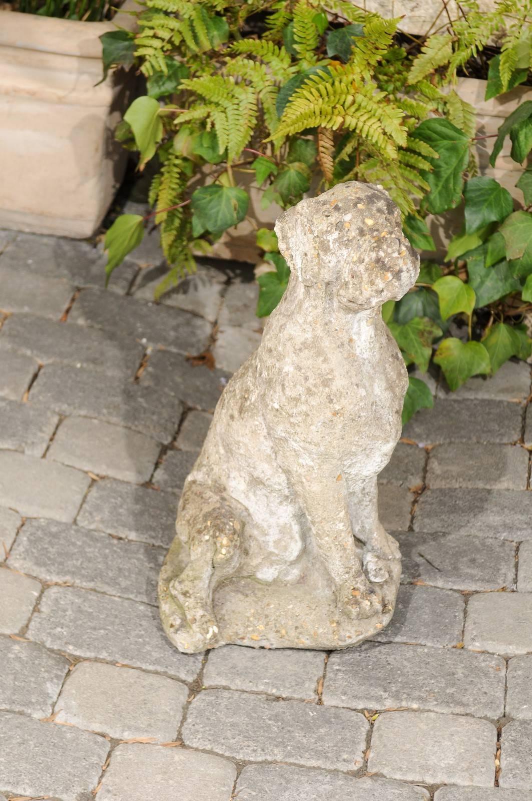 Französische Steinskulptur eines Hundes in sitzender Position aus den 1920er-1940er Jahren im Angebot 4