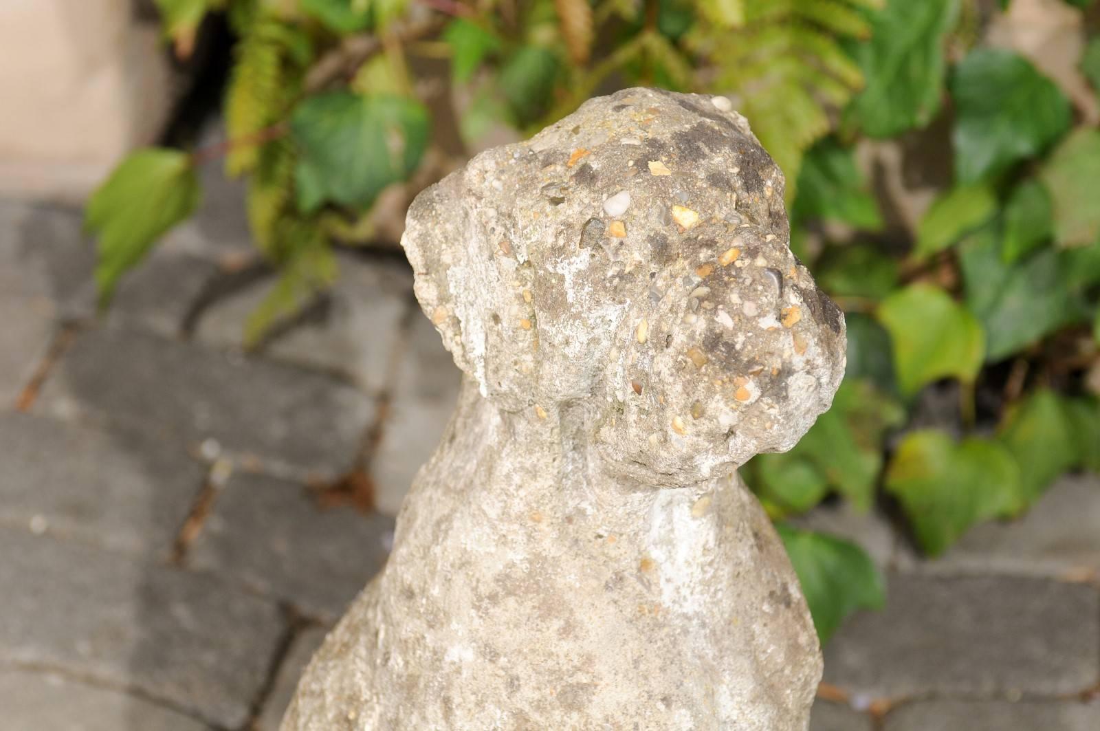 Vintage French Stone Sculpture of Dog in Sitting Position from the 1920s-1940s For Sale 5