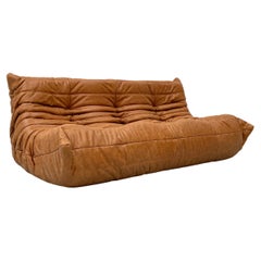 Vintage French Togo Sofa in Cognac Leather by M. Ducaroy for Ligne Roset, 1970s