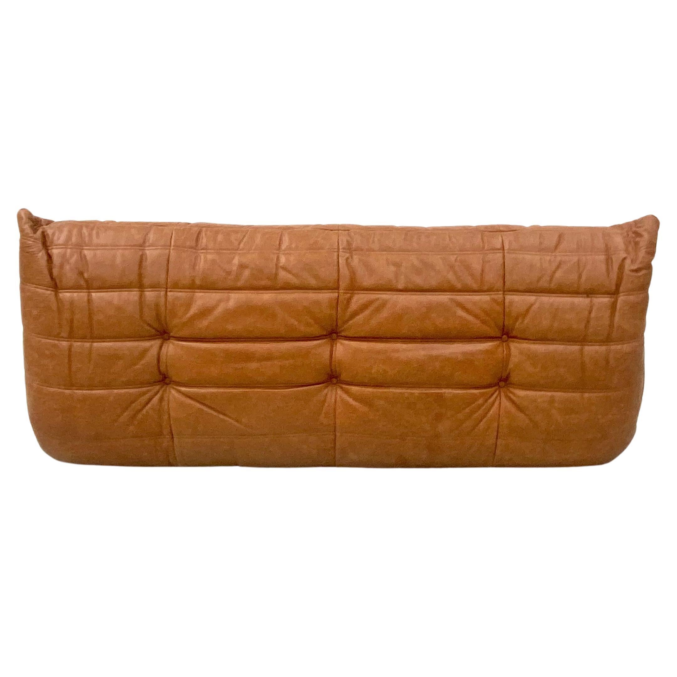 Vintage French Togo Sofa in Cognac Leather by Michel Ducaroy for Ligne Roset 2
