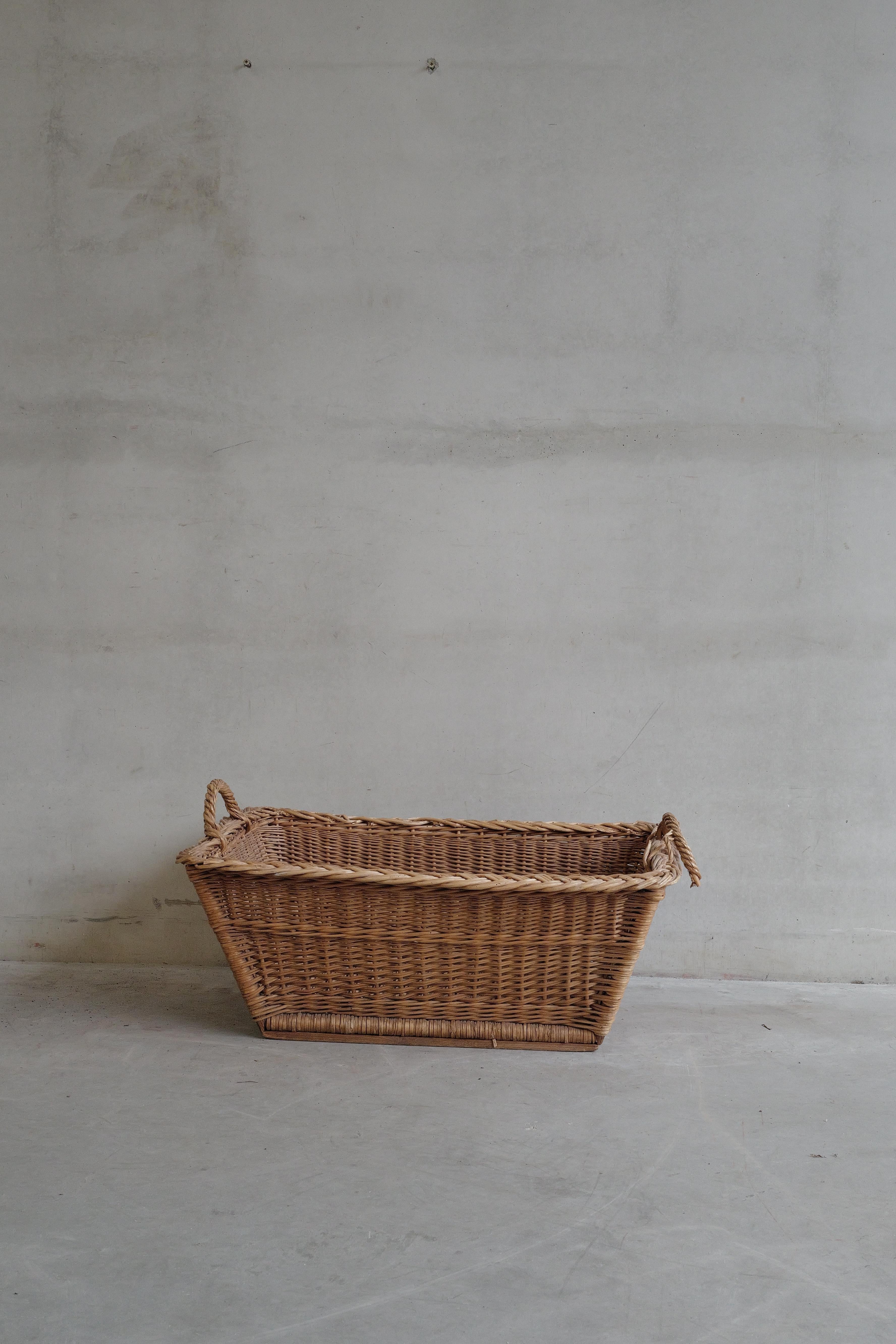 Antique French Woven Harvest Basket – Early 20th Century
A beautifully aged hand-woven French harvest basket, crafted from natural wicker with a wide, tapering form and sturdy twisted rope handles. Traditionally used for collecting vegetables,