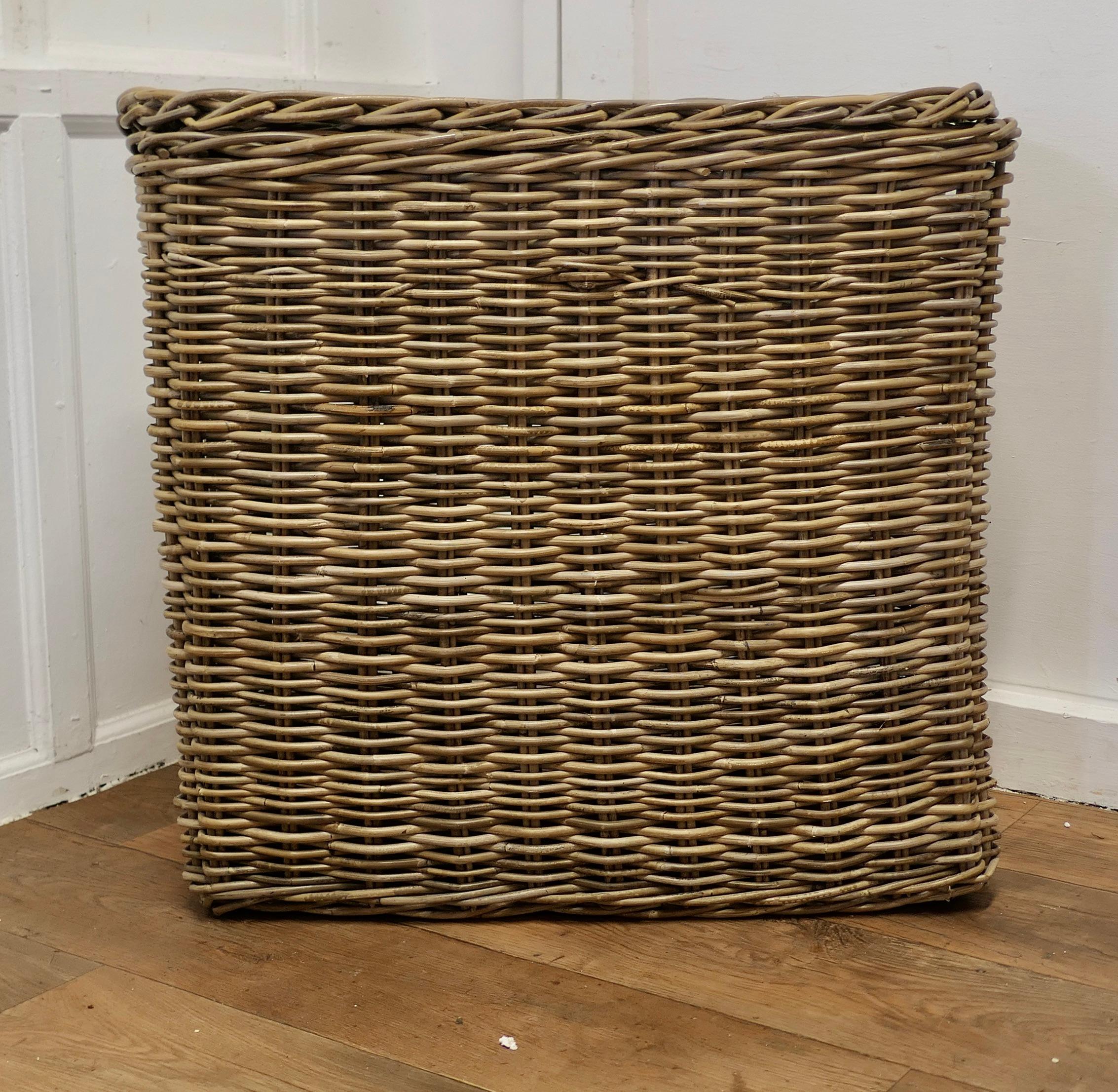 Vintage French Wicker Laundry Basket with Lid

This is an excellent example and in remarkably good condition, this strong basket is divided in to 2 sections, both the basket and the lid are woven in age darkened Willow, the basket has only ever been