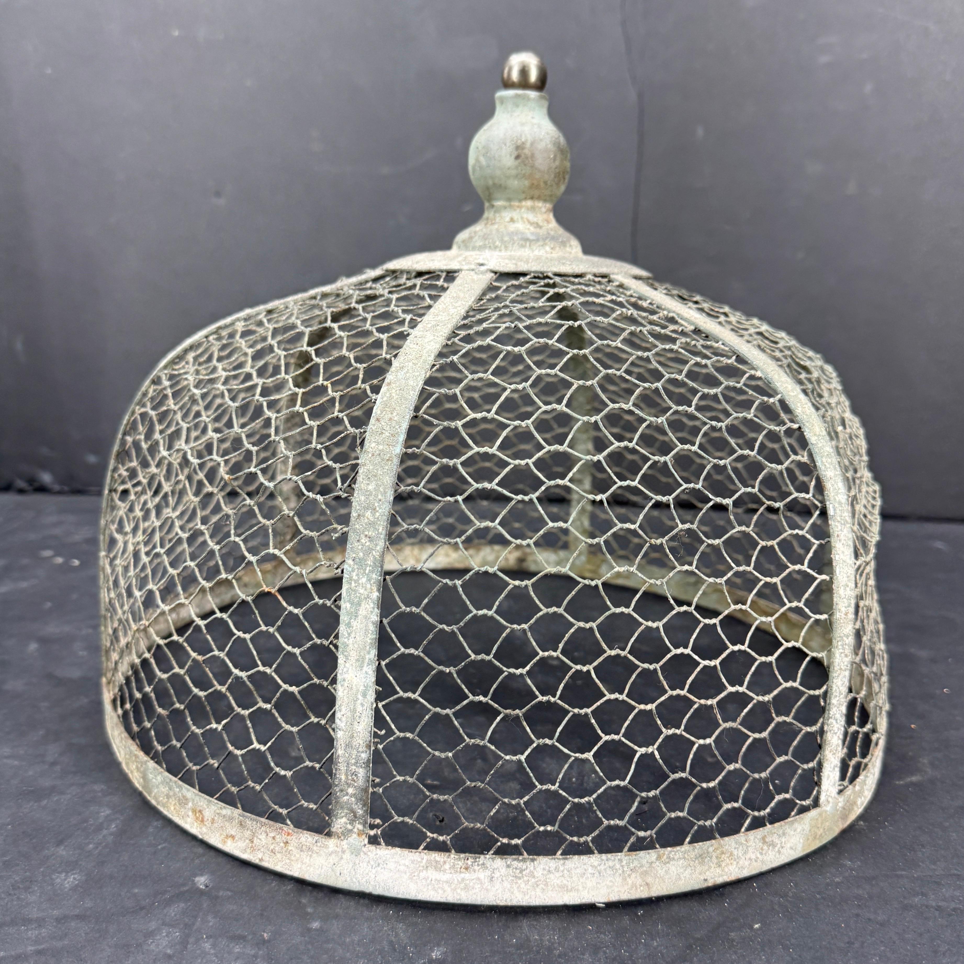 Vintage French Wood and Metal Cloche or Dome, circa 1920's For Sale 4