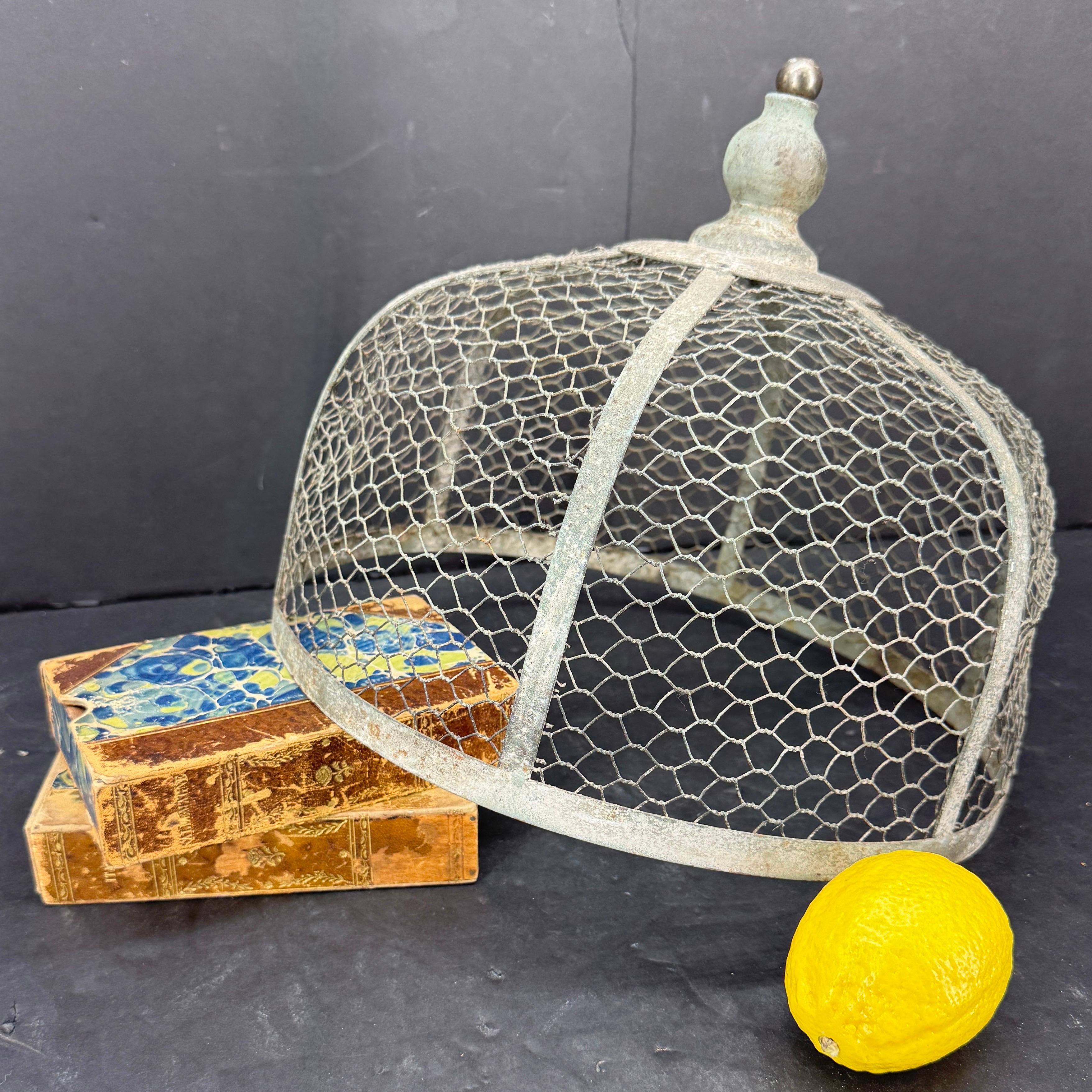 As found in the south of France this 'cloche' or dome dates from the early twentieth century. Originally used for covering cheese, this could also be used to display muffins and cookies on the kitchen counter. 
