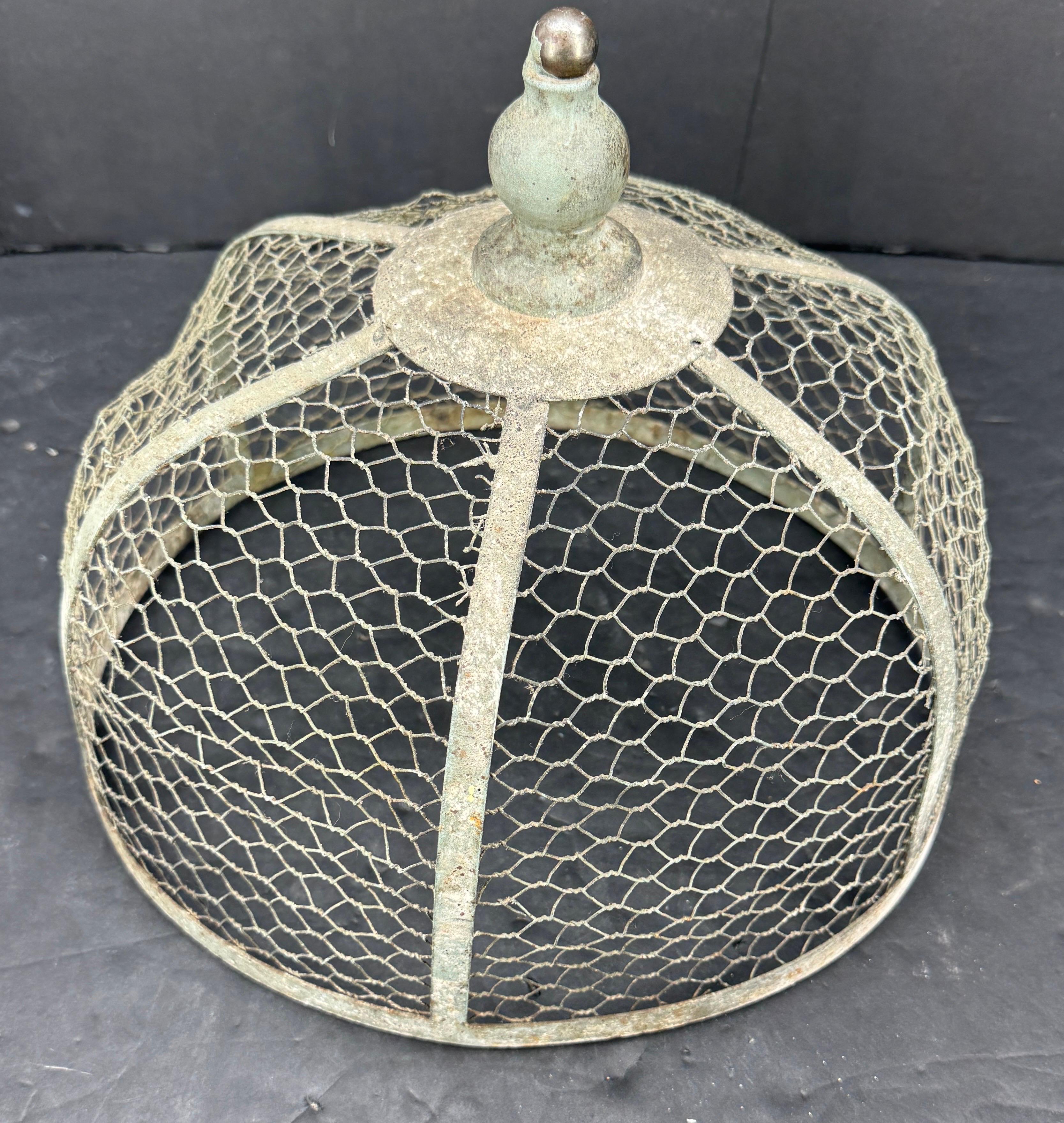 French Provincial Vintage French Wood and Metal Cloche or Dome, circa 1920's For Sale