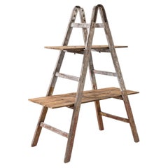 Used French Wooden Ladder Shelf