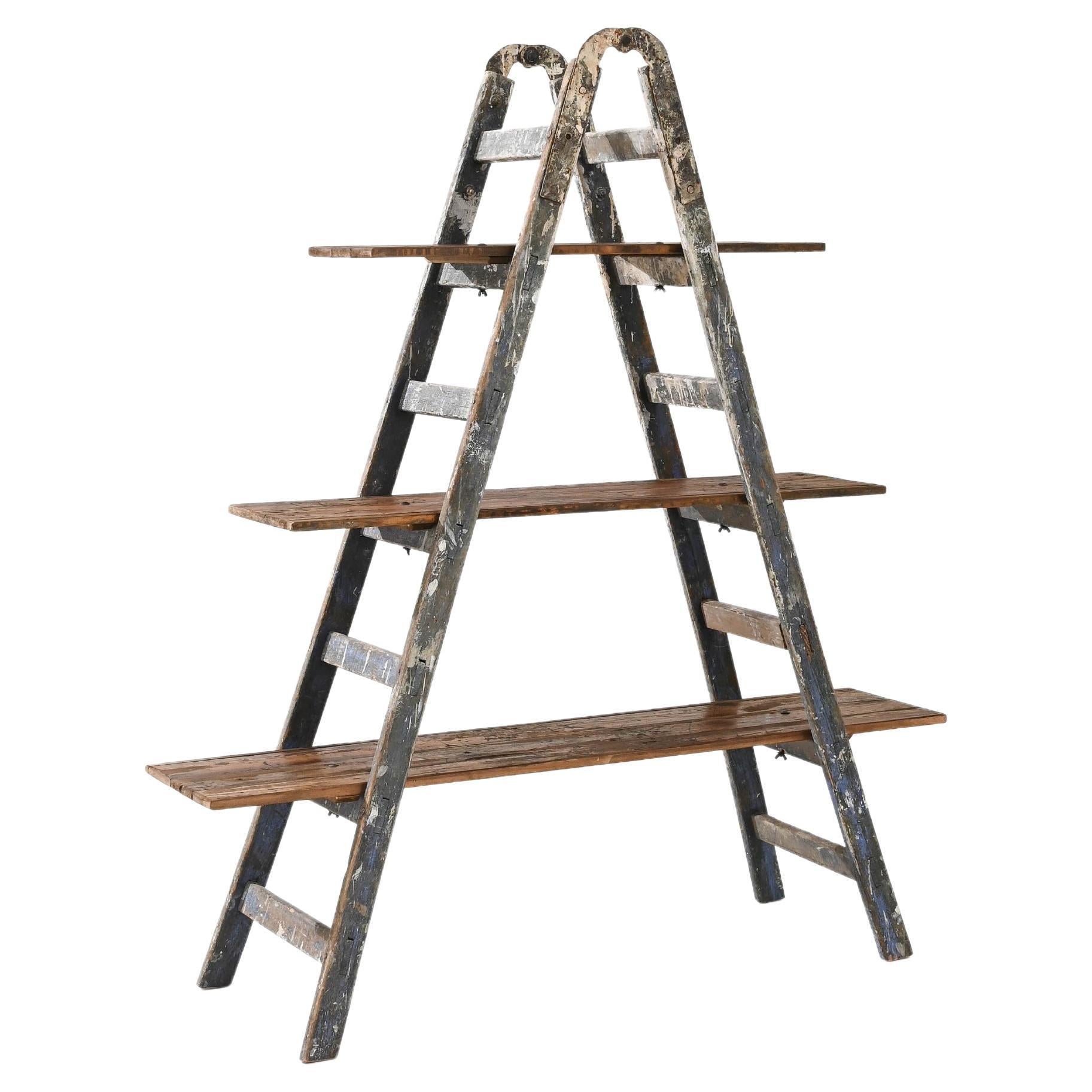 Ladder shelf for sale sale near me