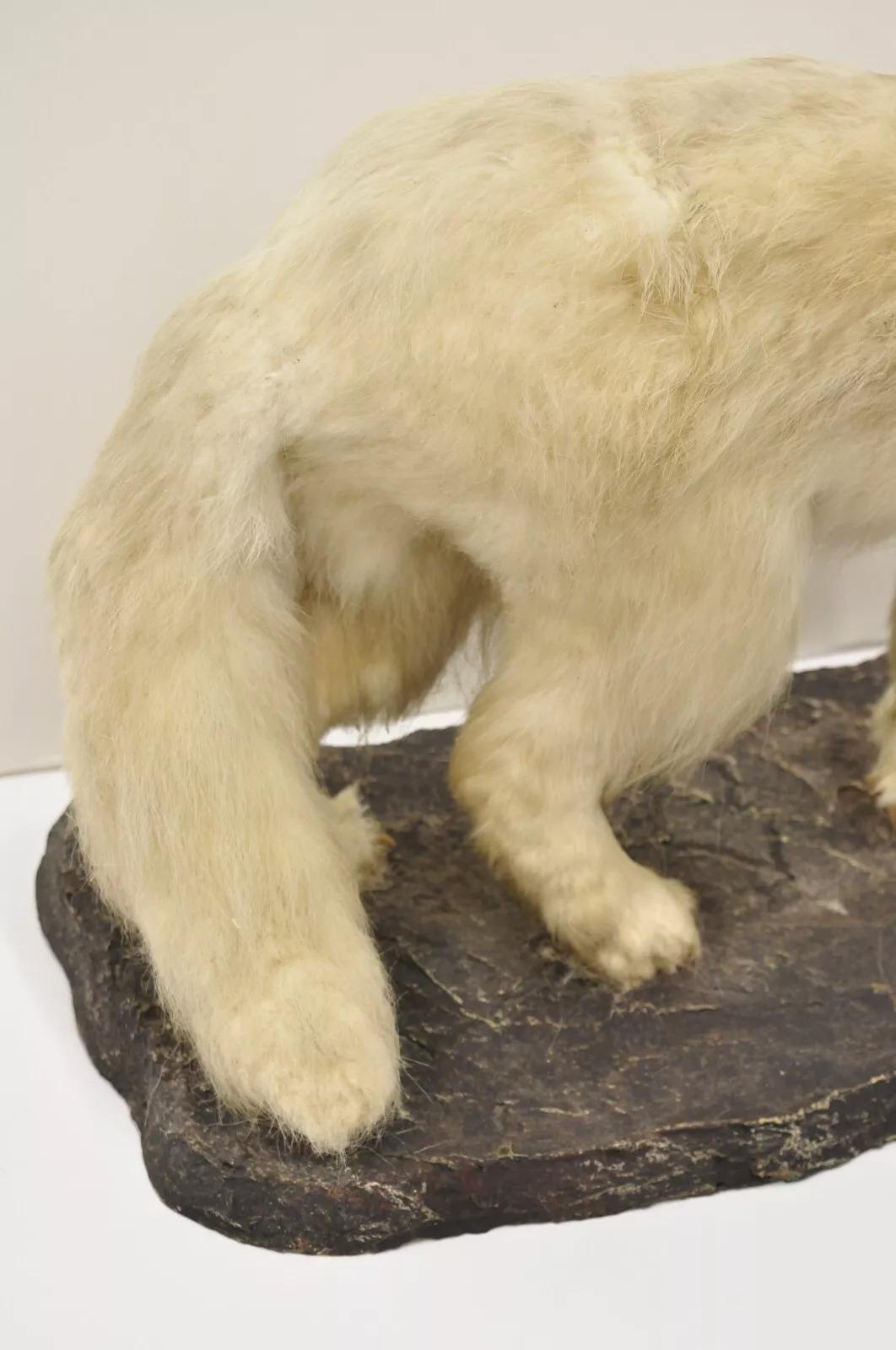 Vintage Full Body Mount Stuffed Glacier Arctic Fox Taxidermy Mancave Decor In Good Condition In Philadelphia, PA