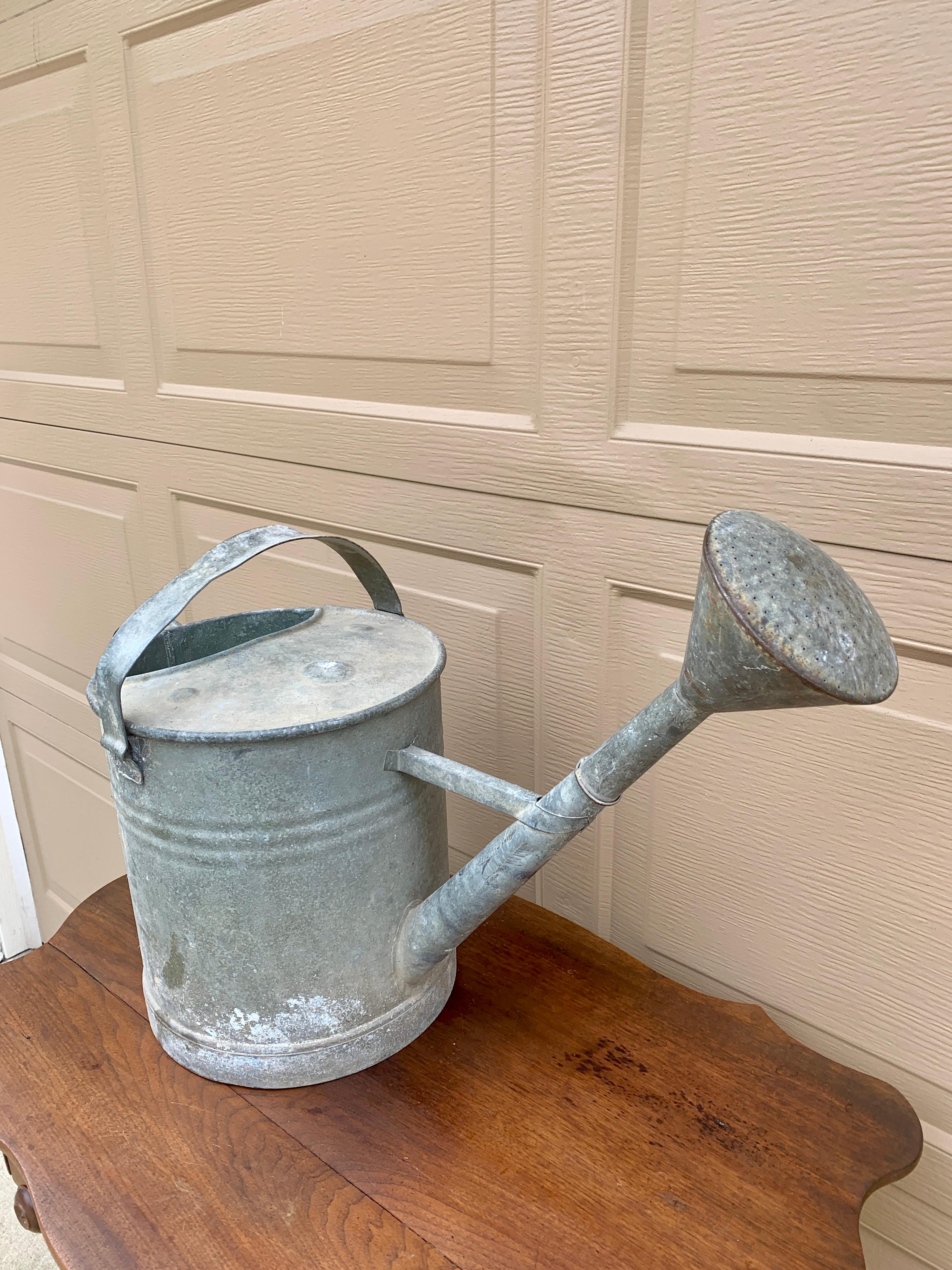 Regadera de jardín vintage de acero galvanizado, circa años 40 De campo en venta