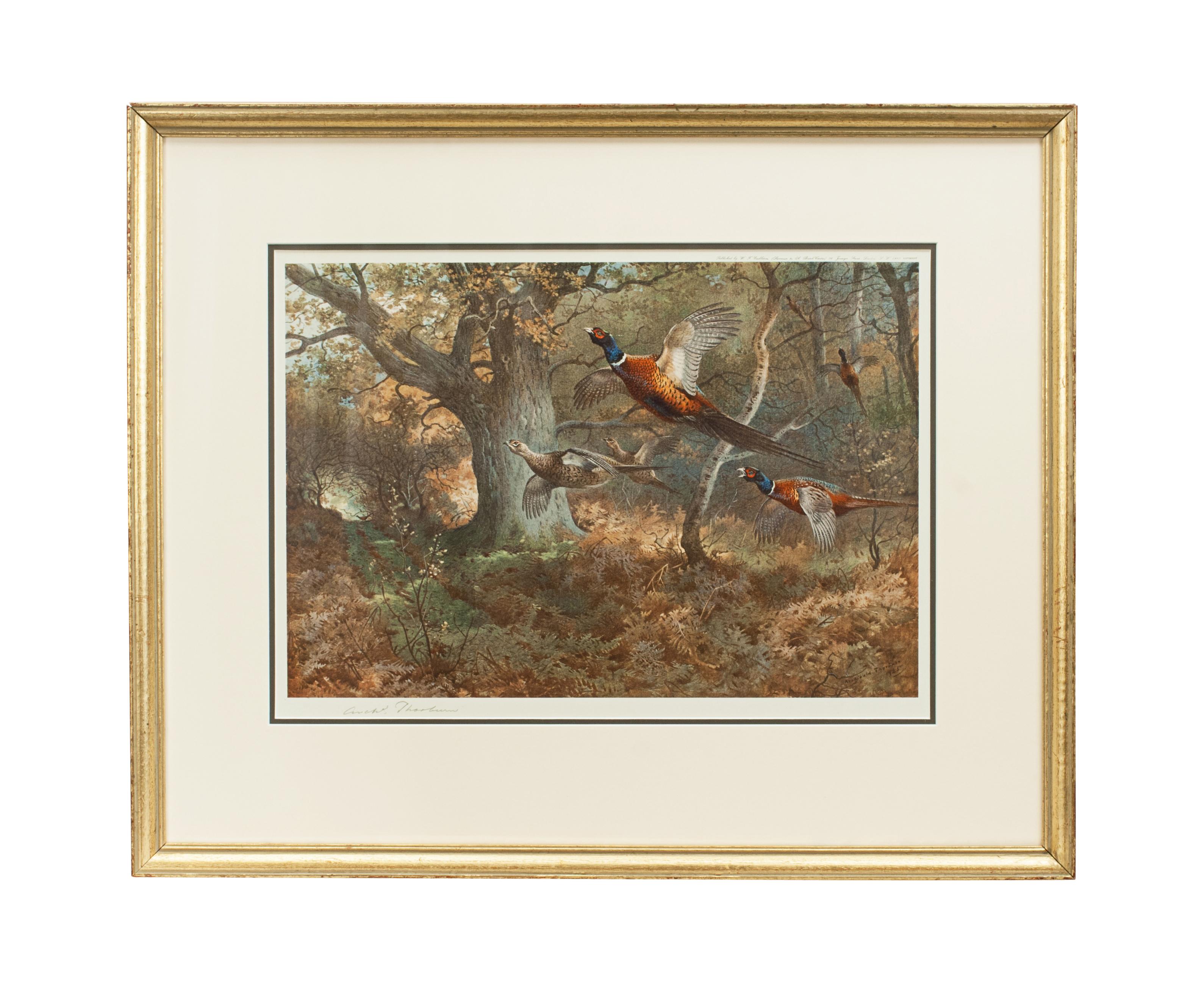 Sporting Art Vintage Game Bird Prints, Colotypes by Archibald Thorburn 'The Seasons'