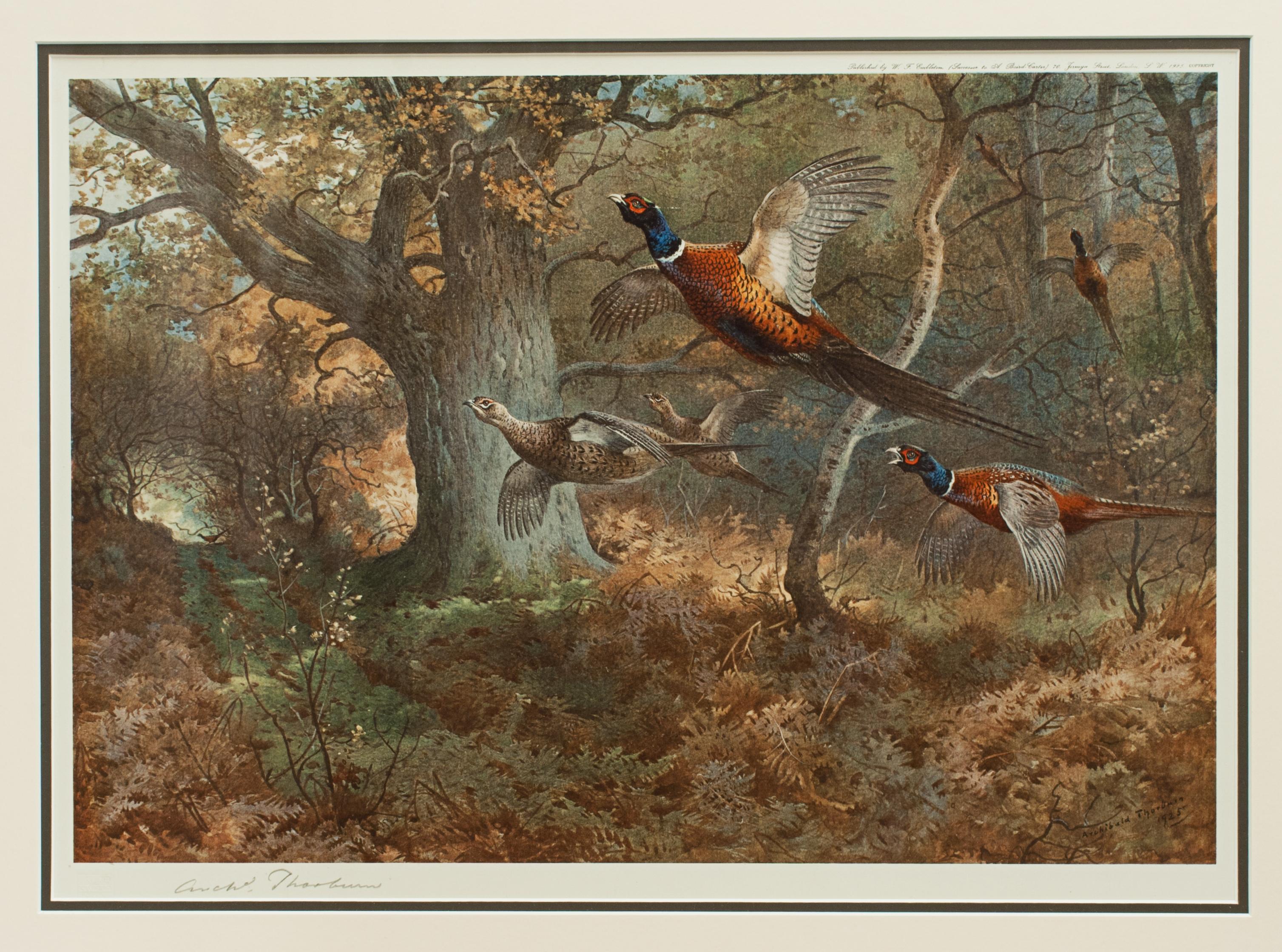 Paper Vintage Game Bird Prints, Colotypes by Archibald Thorburn 'The Seasons'