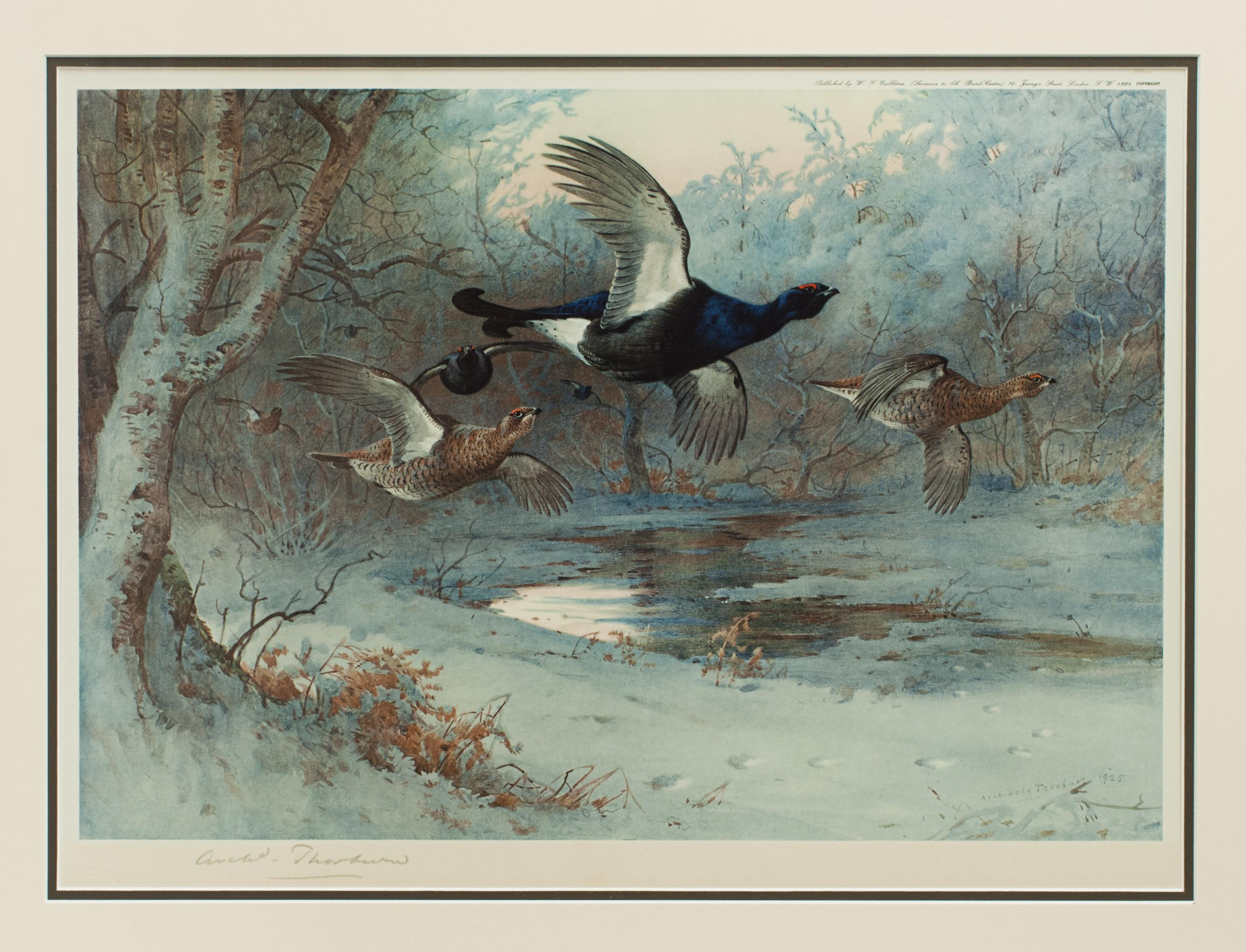 Vintage Game Bird Prints, Colotypes by Archibald Thorburn 'The Seasons' 2