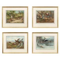 Vieilles impressions de gibier à plumes:: Colotypes par Archibald Thorburn 'The Seasons'