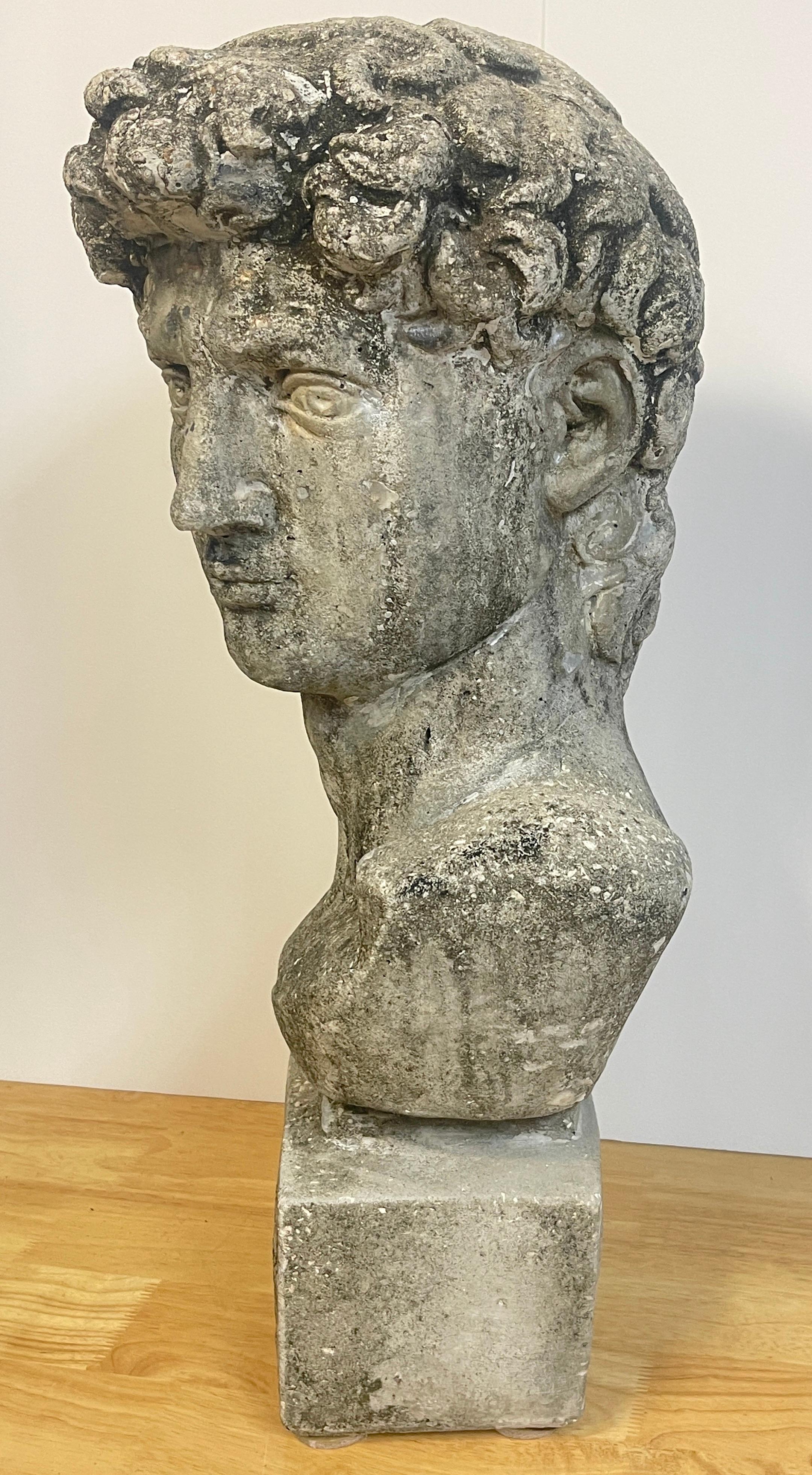 Vintage Garden Cast Stone Bust of Michelangelo's David 2