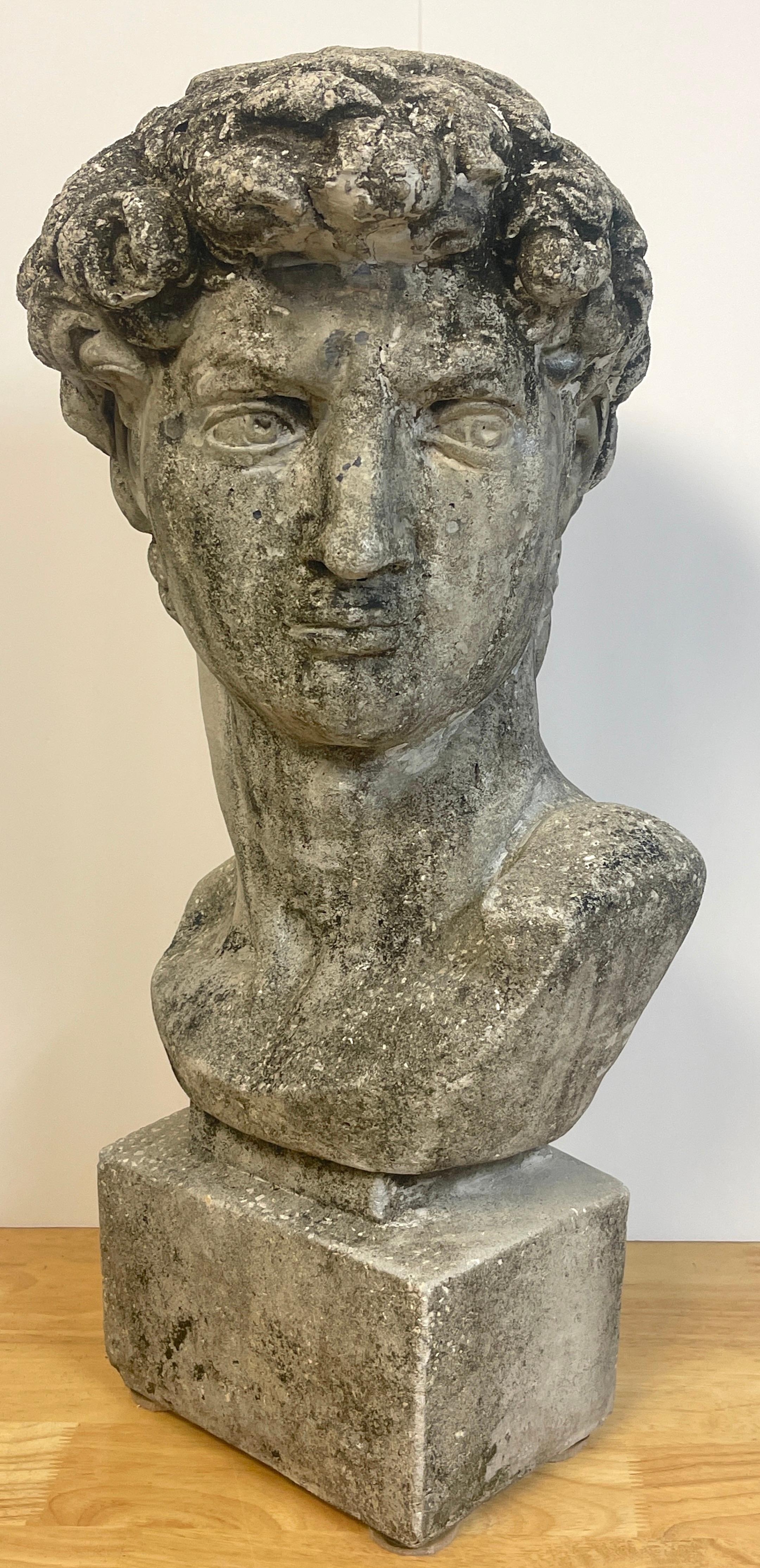 Vintage Garden Cast Stone Bust of Michelangelo's David 5