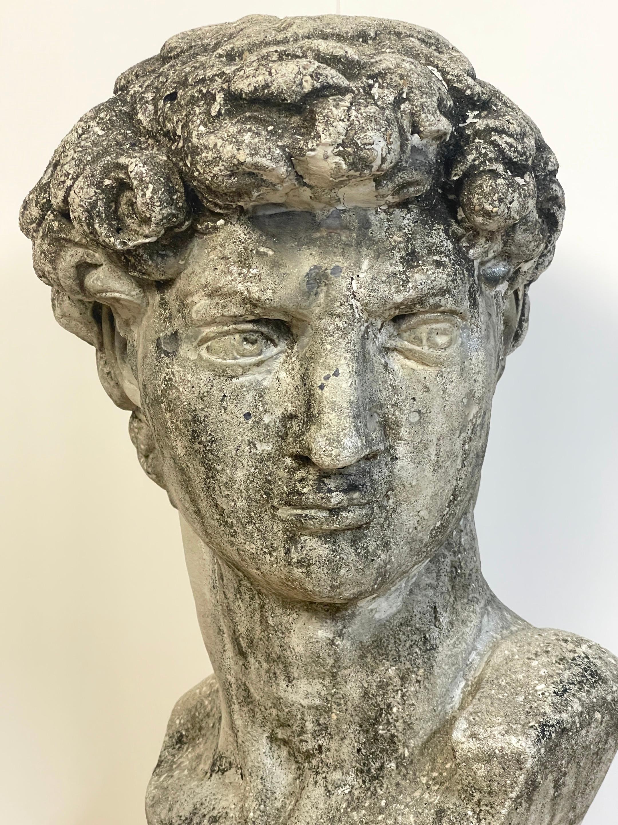 20th Century Vintage Garden Cast Stone Bust of Michelangelo's David