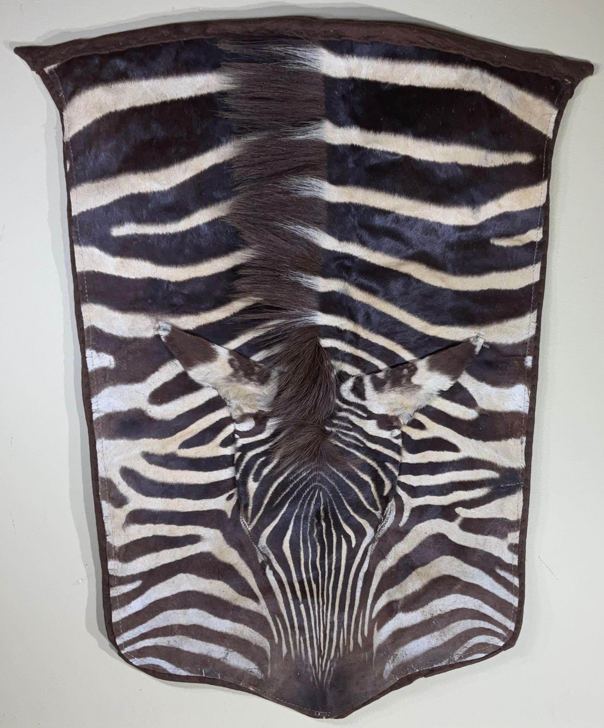 Vintage Genuine Zebra Hide Wall Hanging For Sale 6
