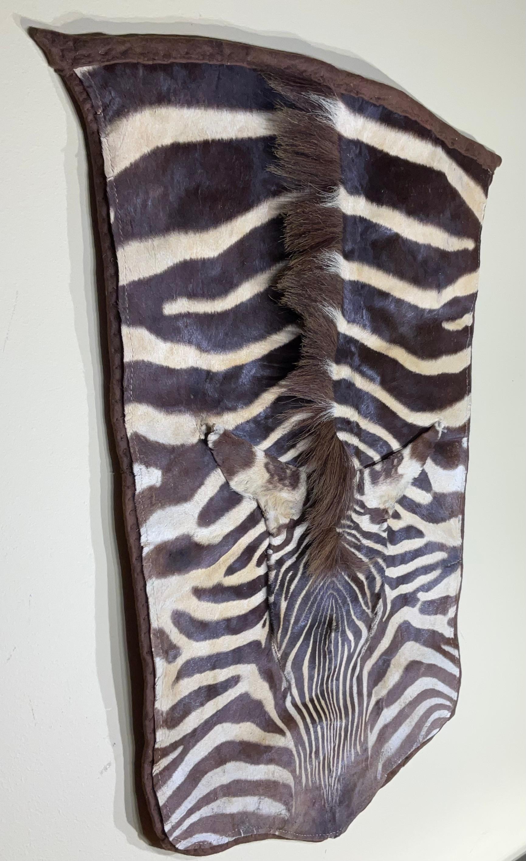 Vintage Genuine Zebra Hide Wall Hanging For Sale 7