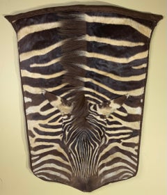 Vintage Genuine Zebra Hide Wall Hanging