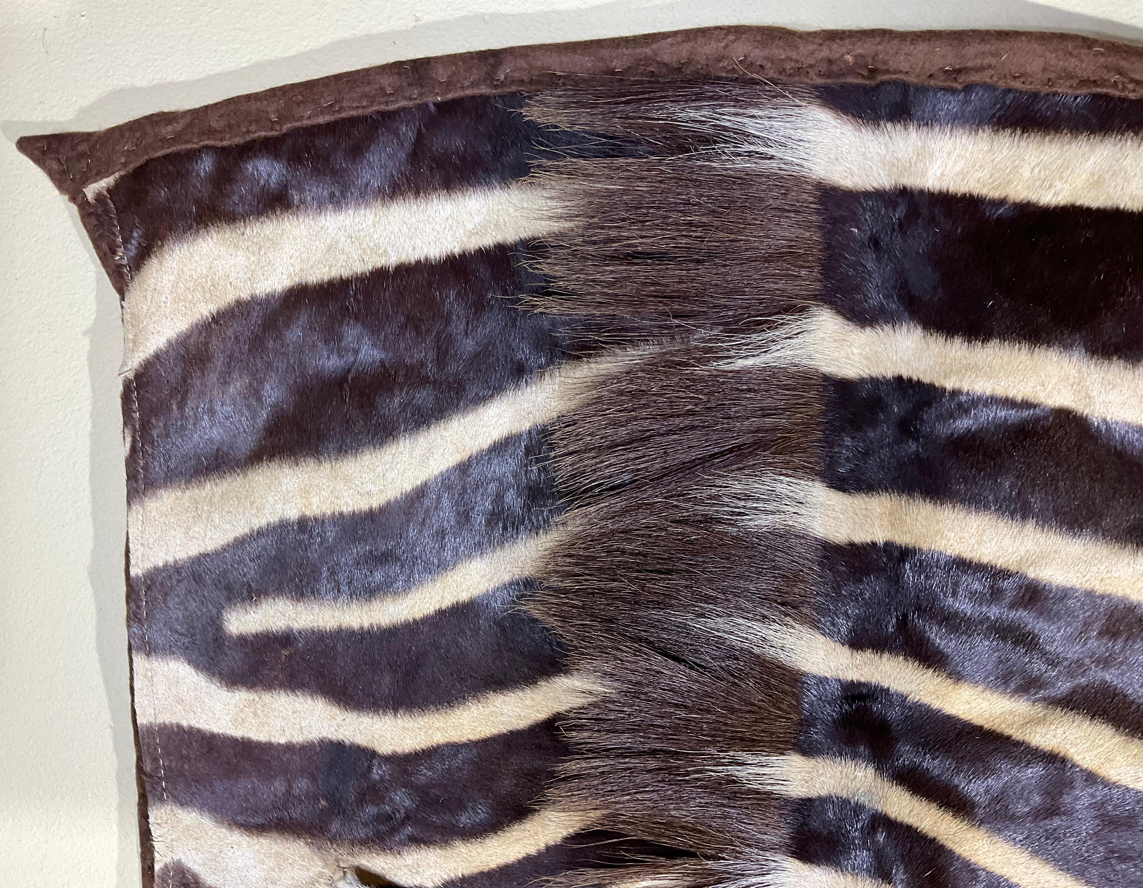 Animal Skin Vintage Genuine Zebra Hide Wall Hanging For Sale