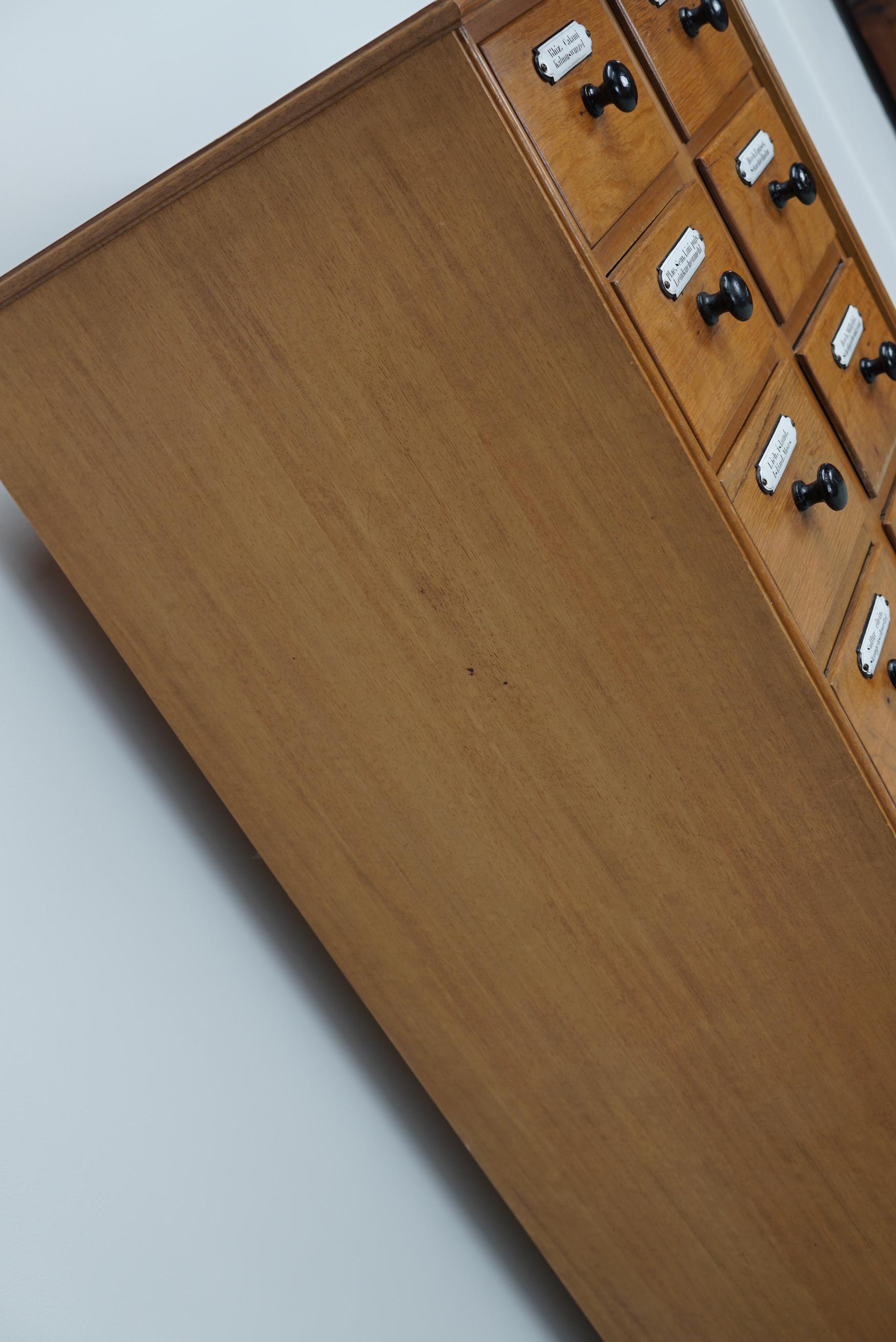 Mobile speziale tedesco d'epoca in Oak con scudi smaltati, anni '40 in vendita 3