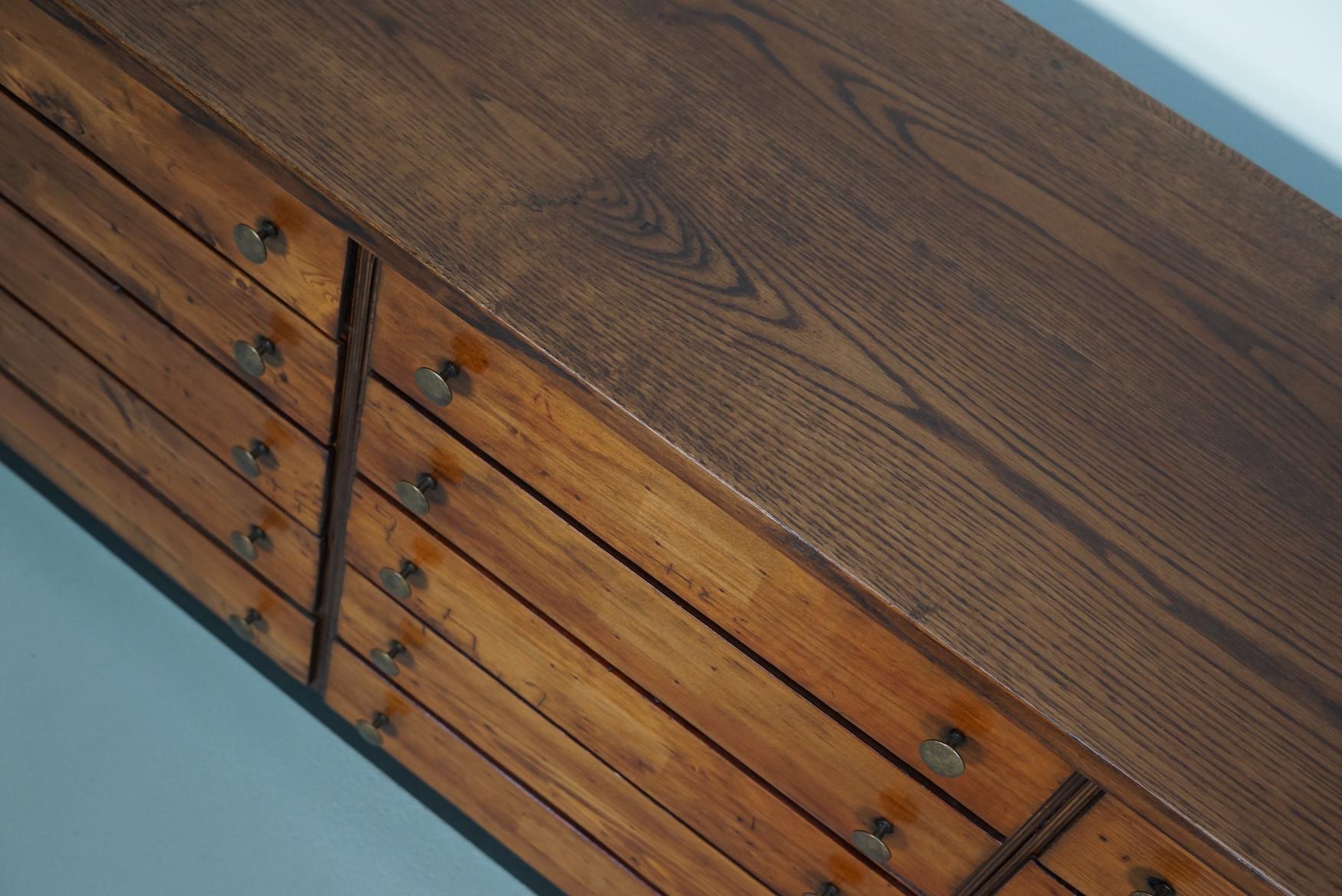 Deutscher Apothekerschrank aus Kiefer und Eiche, 1950er Jahre (Holz) im Angebot
