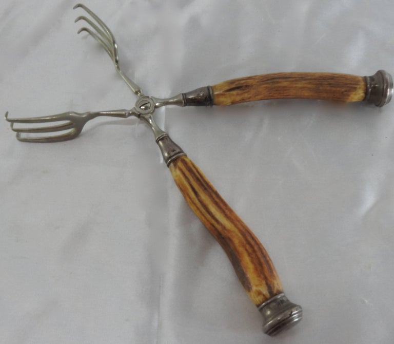 Vintage German Sterling Silver Tongs with Horn Handles For Sale at