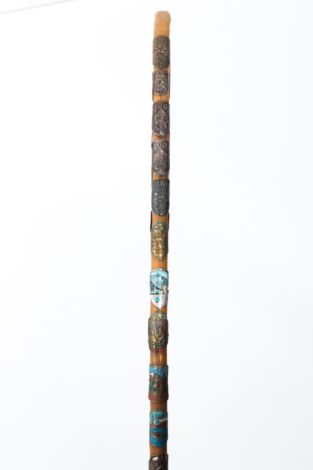 Collection of vintage German walking sticks or canes, each adorned with multiple badges that reflect locations visited, circa early 20th century. The engraved and panted medallions are also attached to the canes as badges of honor. The walking