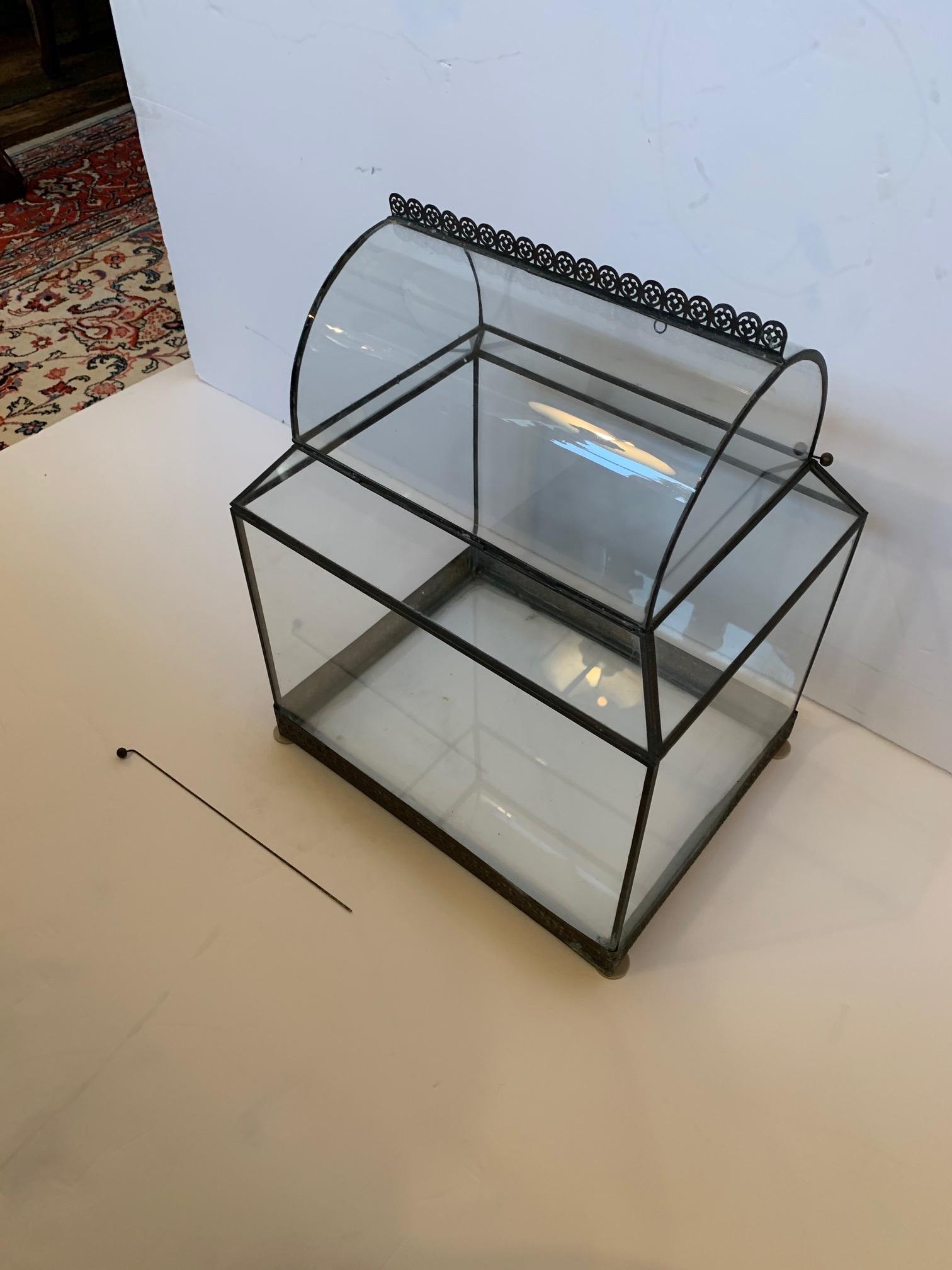 A beautiful vintage glass terrarium with wire work, beautiful for display.