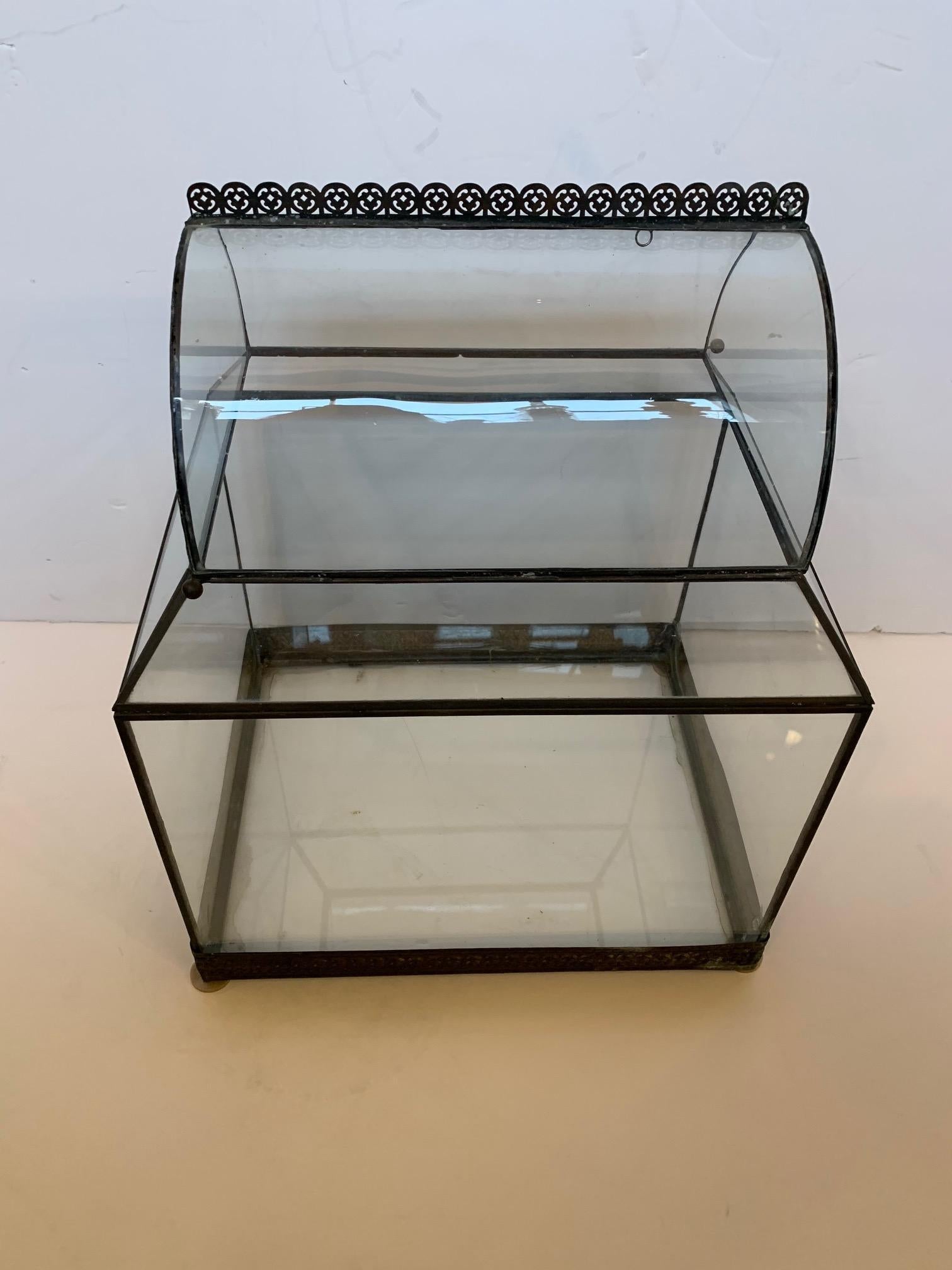 Mid-20th Century Vintage Glass and Metal Terrarium