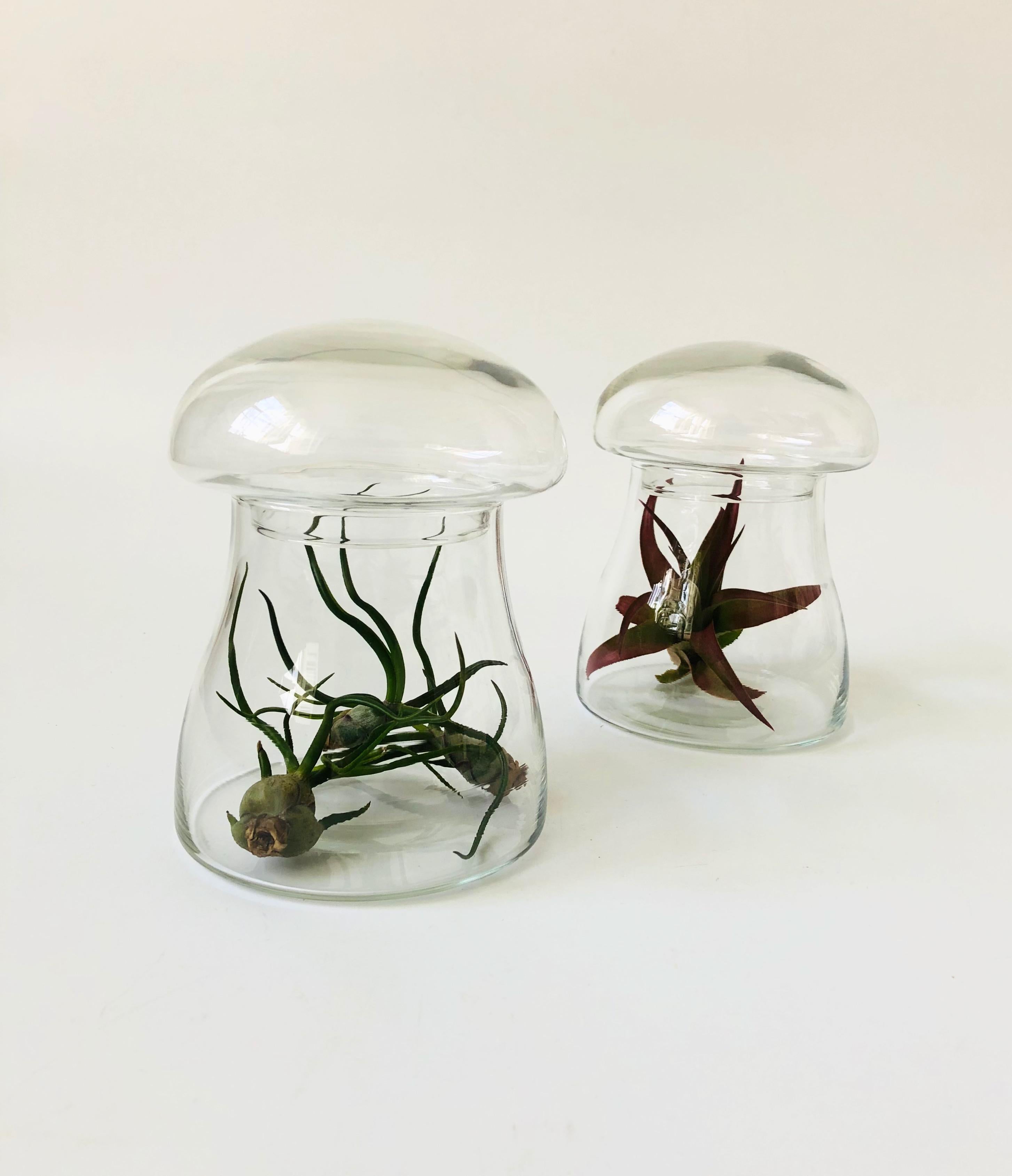Mid-Century Modern Vintage Glass Mushroom Jar