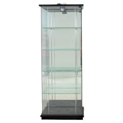 Vintage Glass Vitrine or Display Cabinet