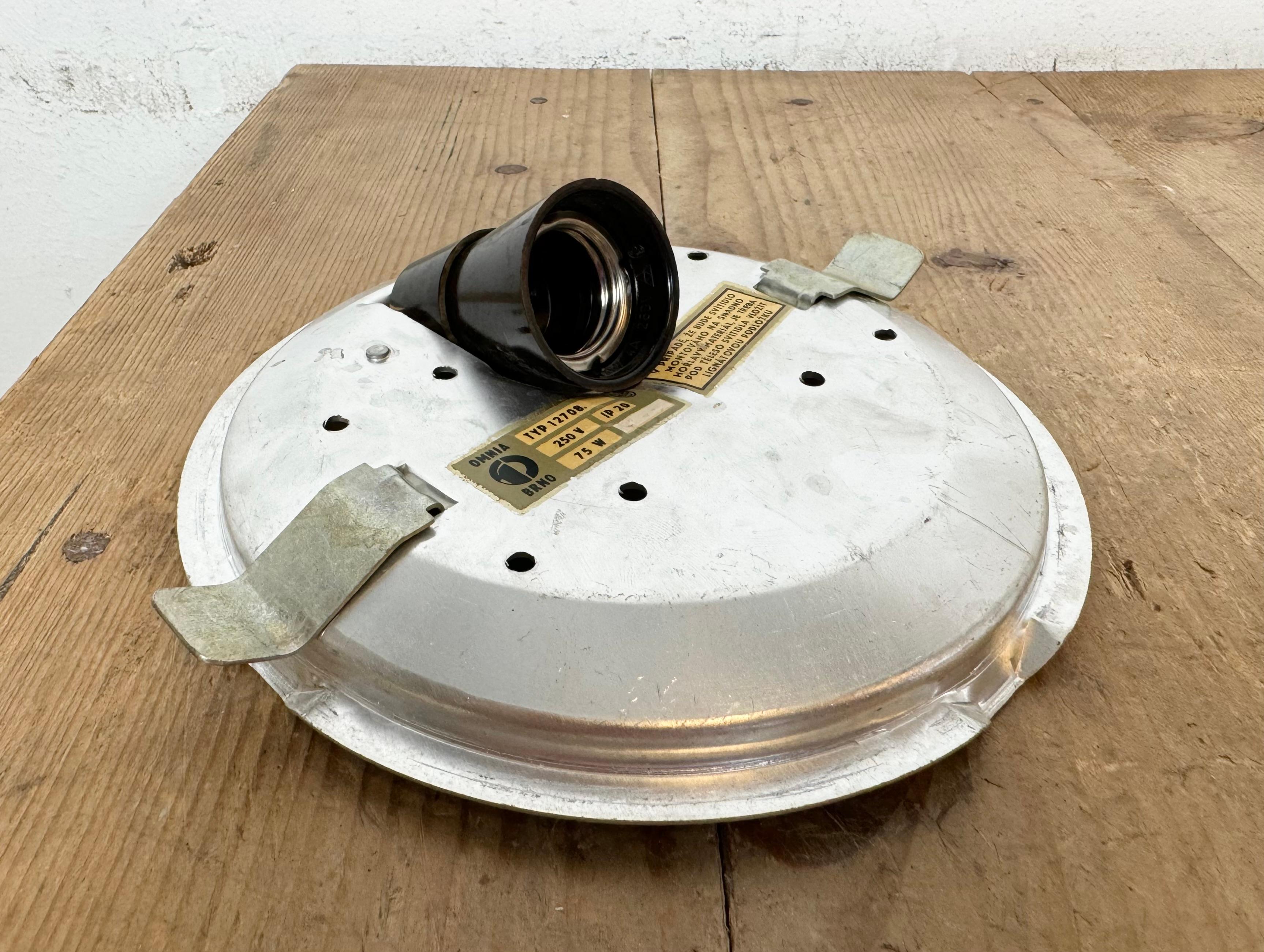 Vintage Glass Wall or Ceiling Light, 1970s For Sale 4