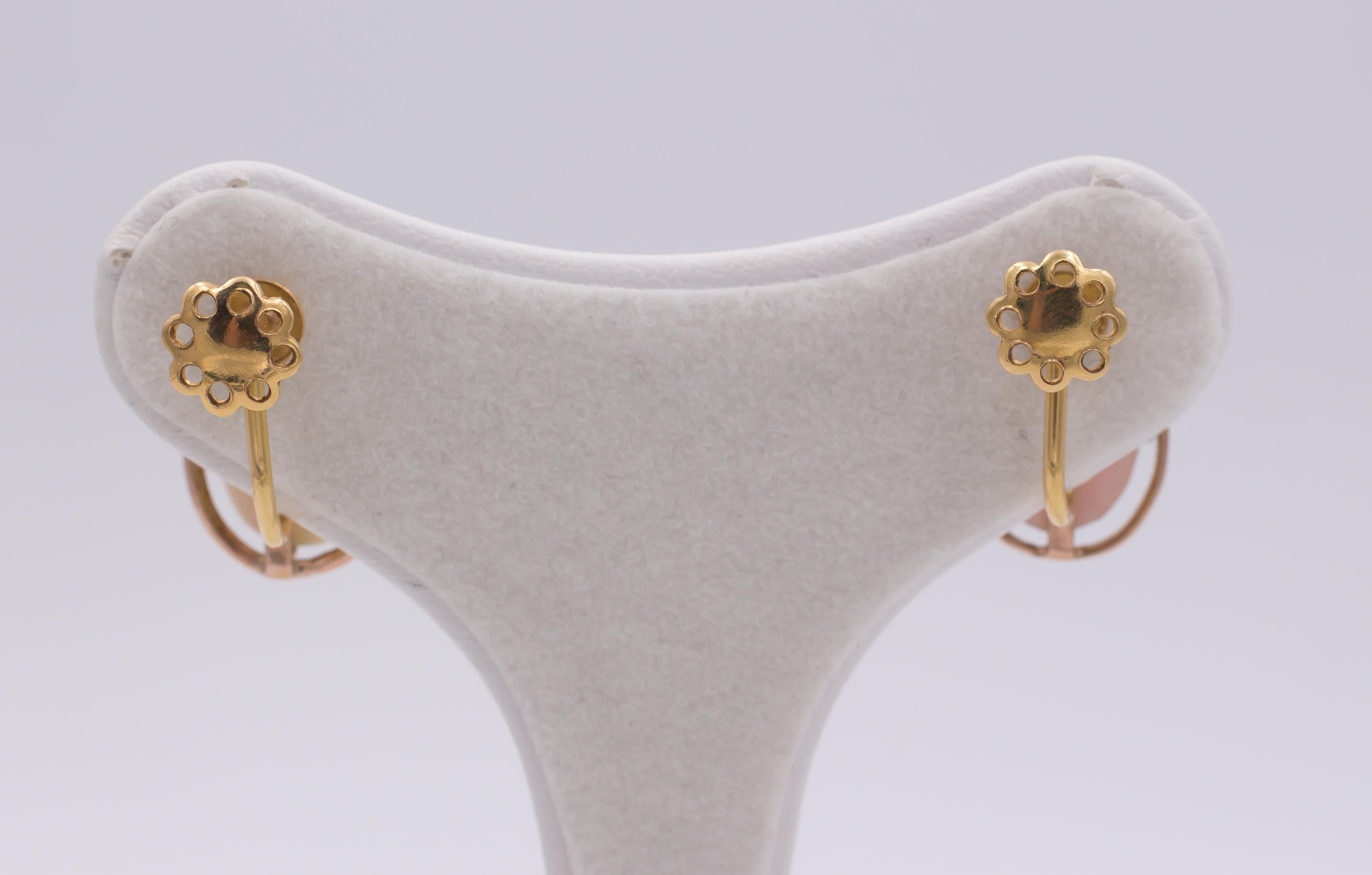 Rose Cut Vintage Gold and Cammeo Earrings, 1950s For Sale