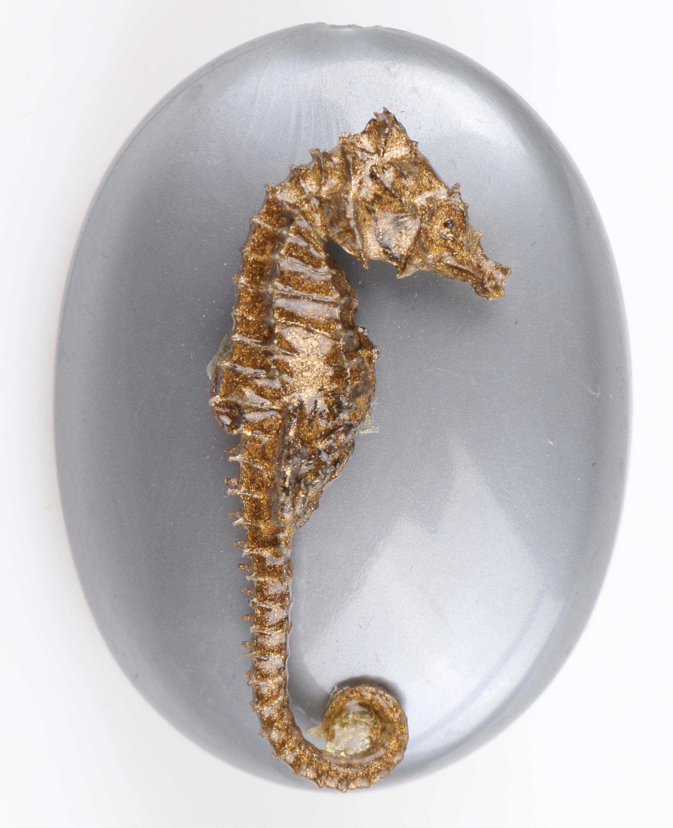 VINTAGE Gold Dipped Genuine Seahorse Skeleton Gray Lucite Disc Earrings 
 
Style: Earrings
Color(s): Shades of gold (seahorse); gray (disc)
Unmarked Material: Gold leafing/coating; real seahorse body; lucite plastic (disc)
Additional Details /