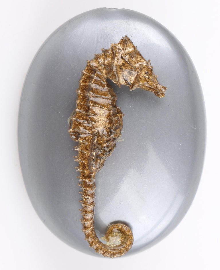 Real seahorse jewelry top