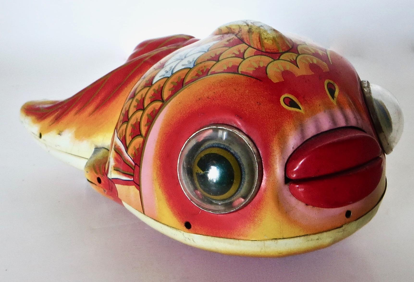 googly eye goldfish