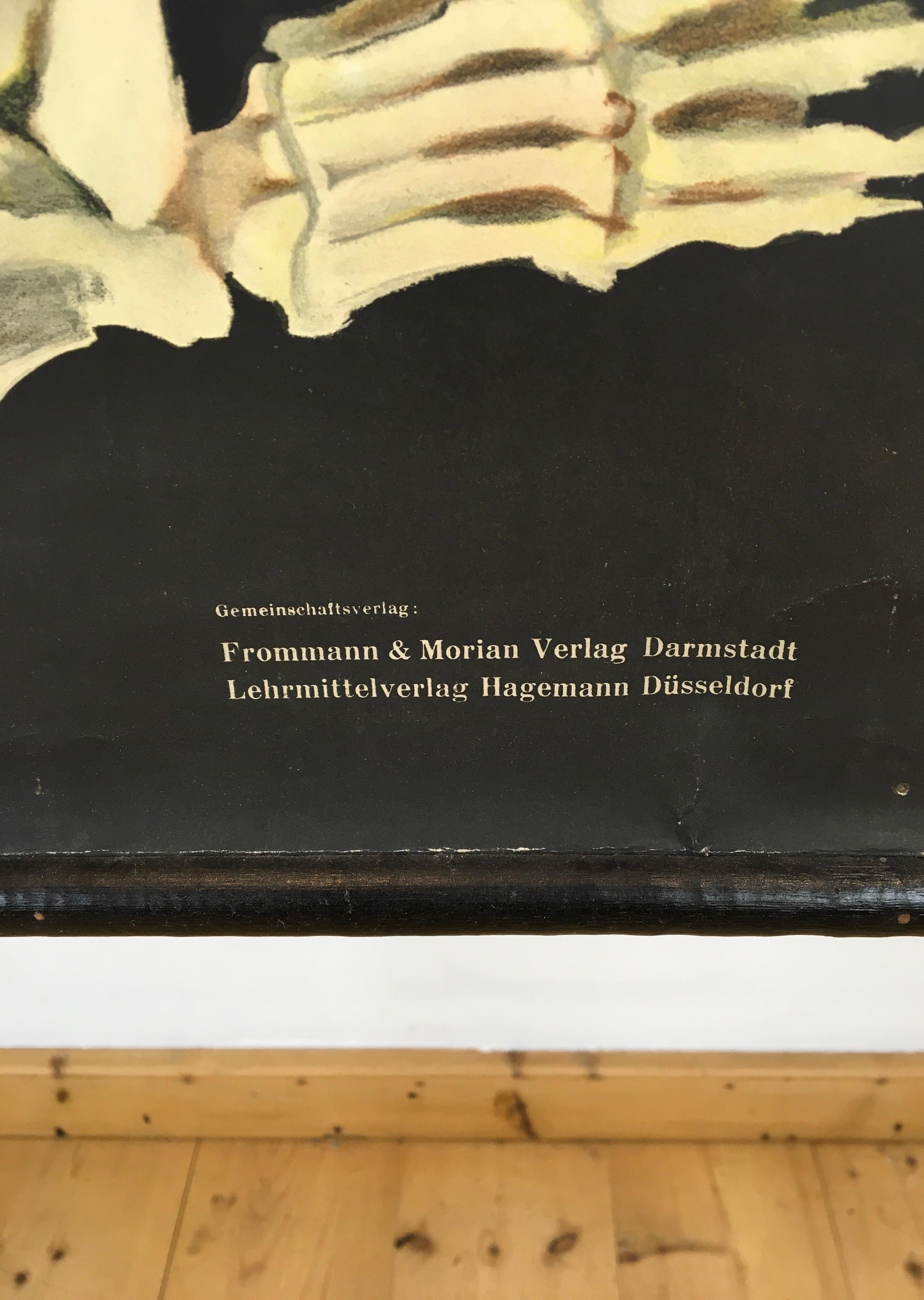 Gorilla-Wandtafel von Jung - Koch - Quentell, Vintage  (Leinwand) im Angebot