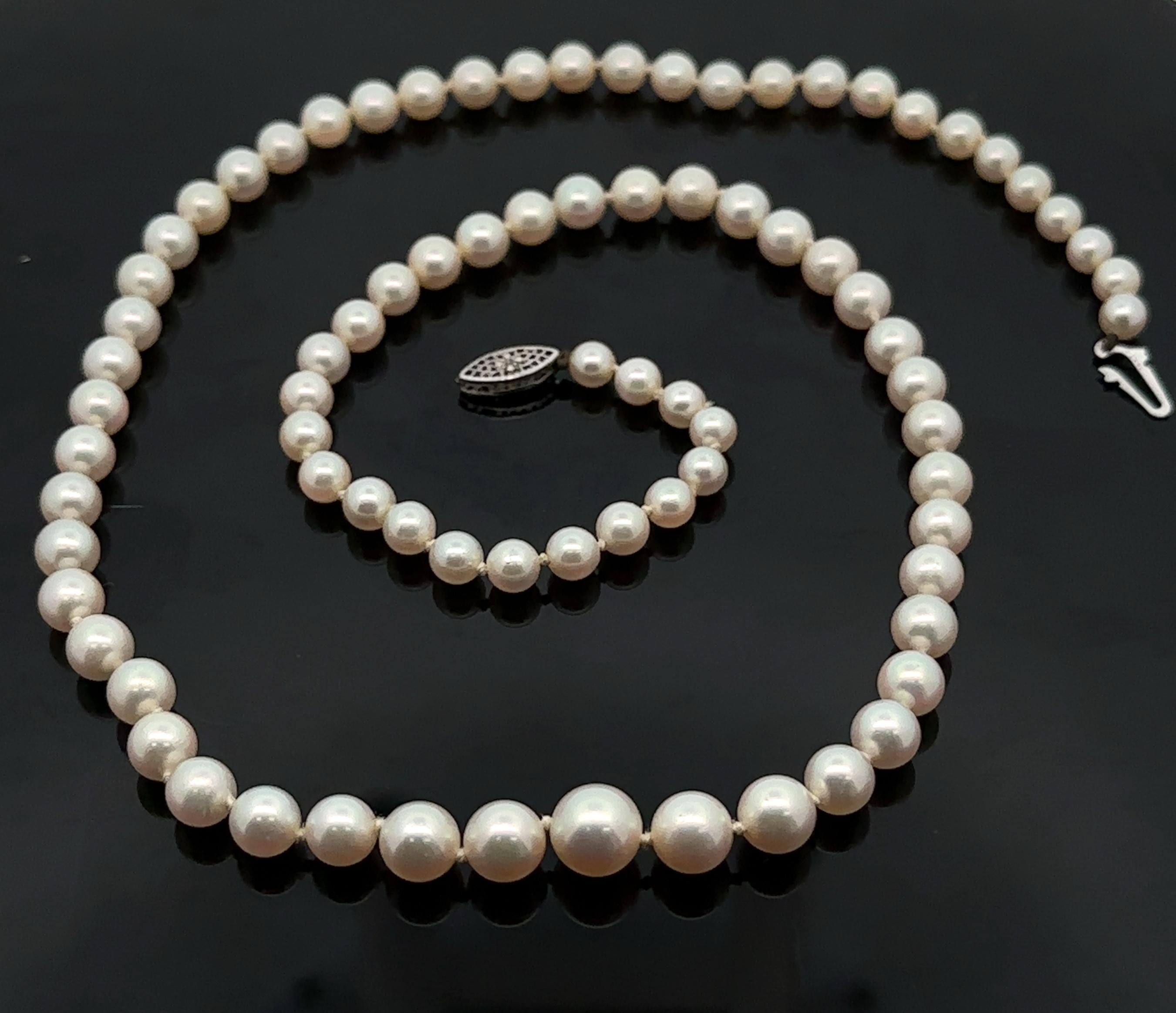 --Pietre: --
(Numerose) perle coltivate autentiche - forma rotonda - infilate - colore Whiting con una bella lucentezza - da 4,5 mm a 7,7 mm (circa)

Materiale: Chiusura in oro bianco 10k
Peso: 19,01 grammi 
Lunghezza: 20