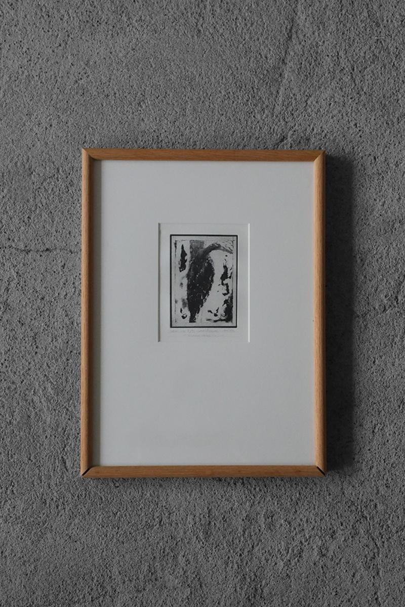 Scandinavian Modern Vintage Graphic, Cactaceae, Blackversion, Engraving, Framed For Sale